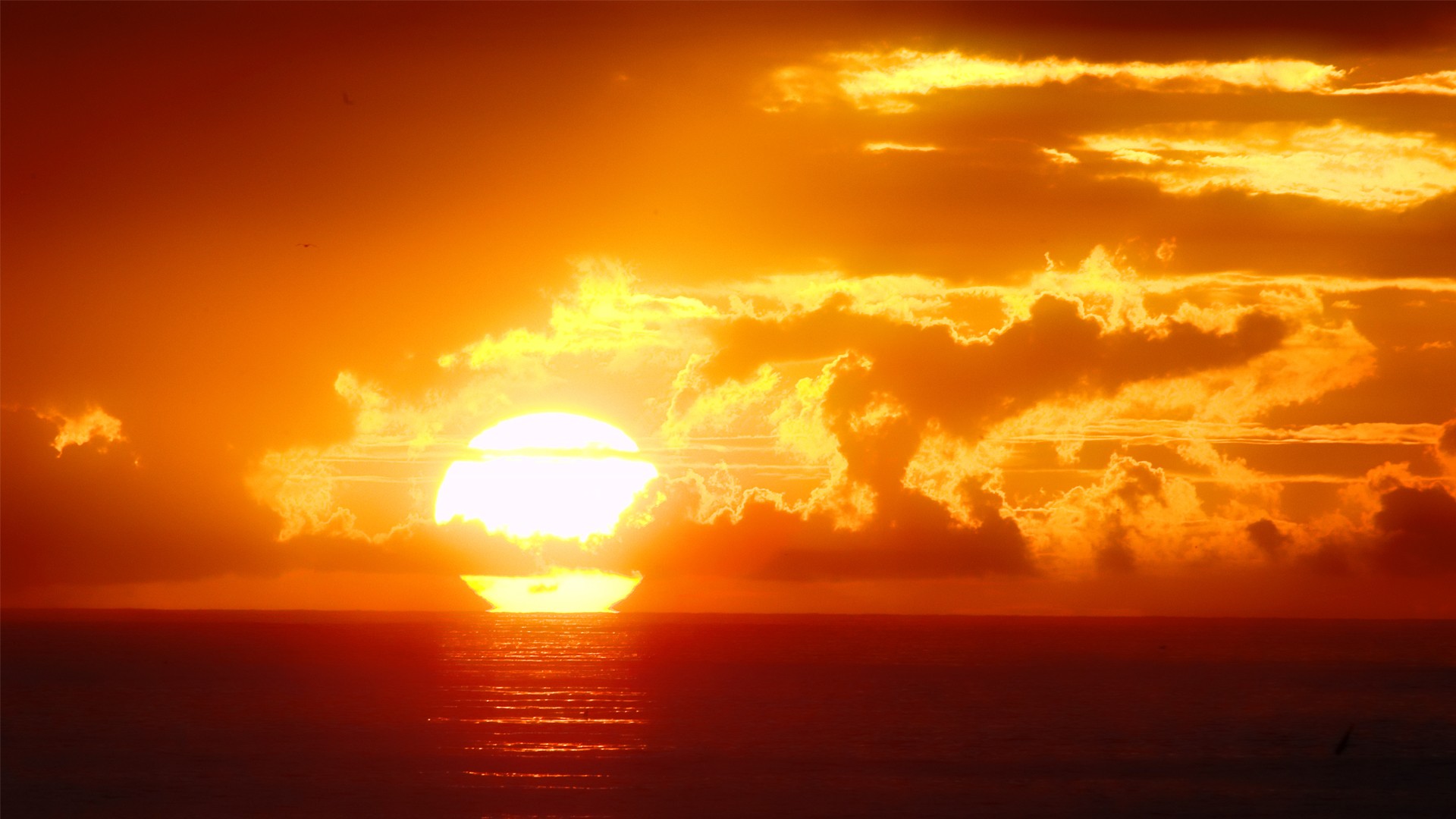 Sunsets: Wow Set Sky Beach Fire Sun Sunset Redondo Entropy Orange ...