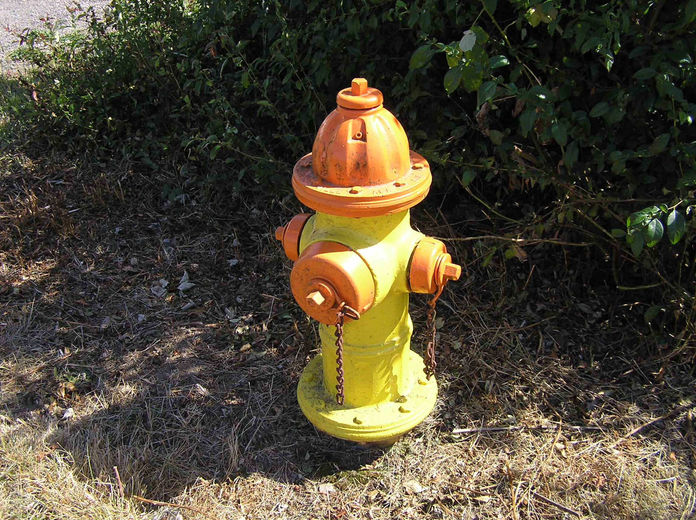 Fire hydrant on the edge of the road.