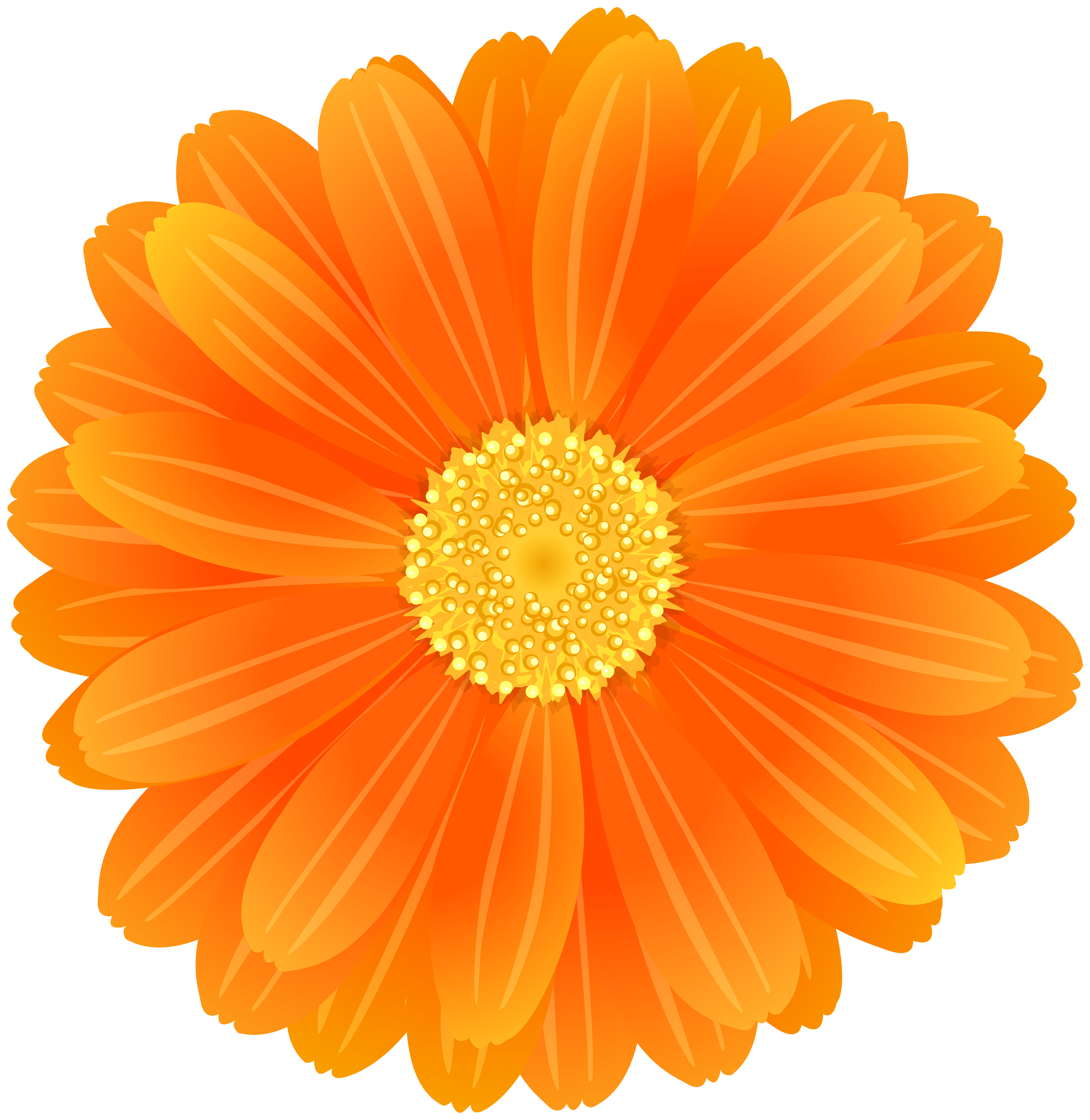 Orange Flower PNG Image | Gallery Yopriceville - High-Quality ...