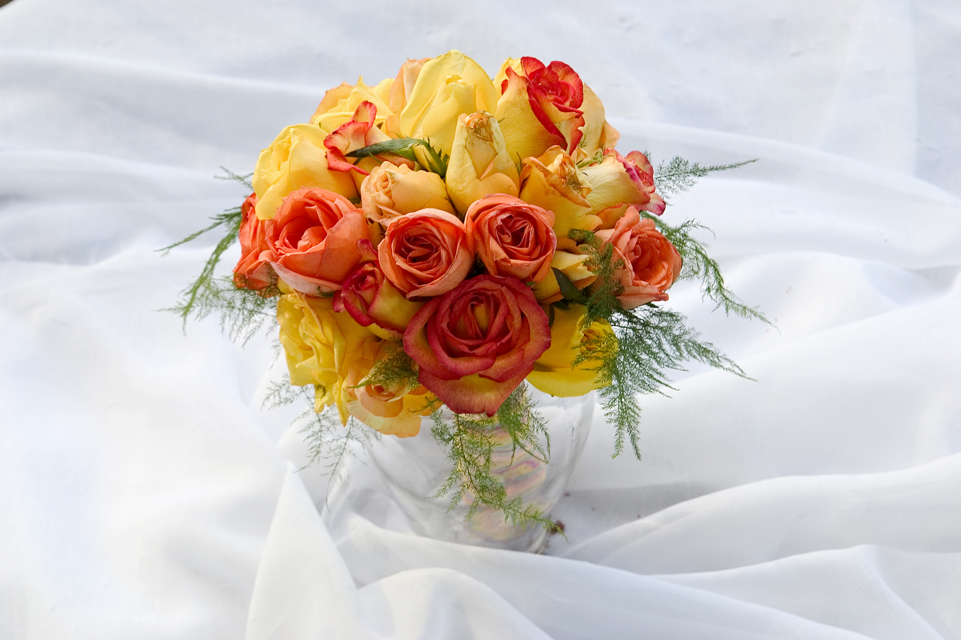 Brighten up any room with orange flowers - Flower PressFlower Press