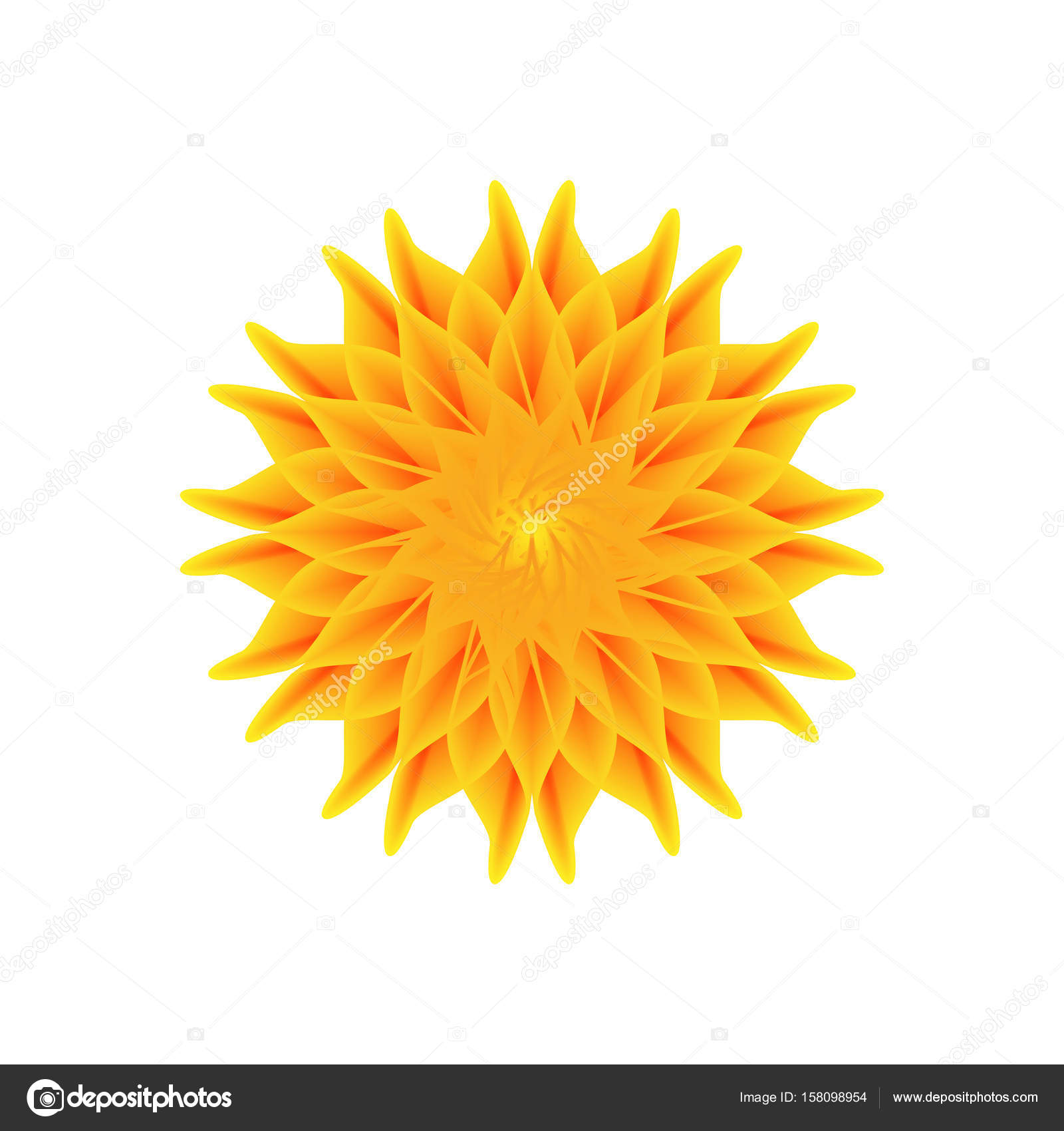 orange flower on a white background — Stock Vector © Danler #158098954