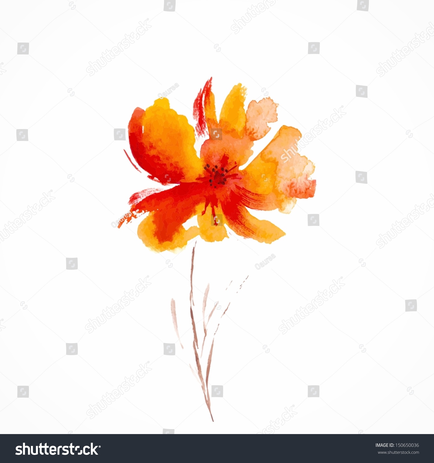 Orange Flower Watercolor Floral Illustration Floral Stock Vector ...