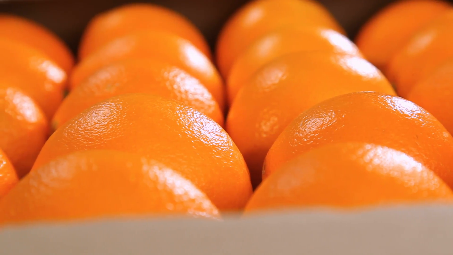 Orange fruits in box Stock Video Footage - Videoblocks
