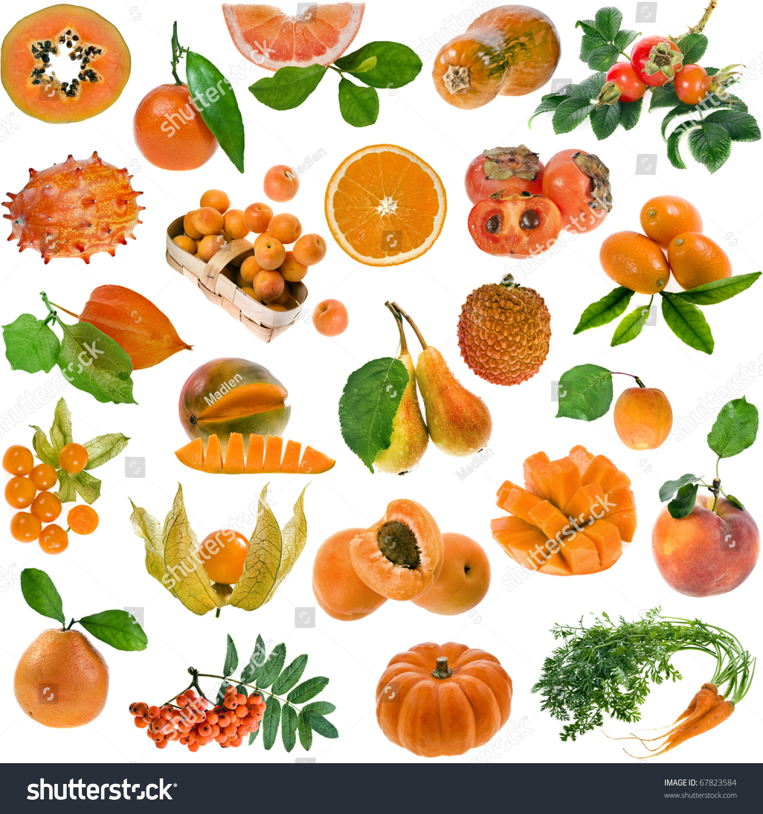 Enormous Pictures Of Orange Fruits Collection Set All Color Berries ...