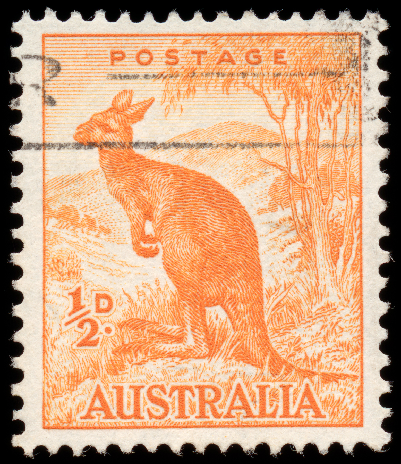 Orange Kangaroo Stamp, Adhesive, Post, Rectangular, Rectangle, HQ Photo