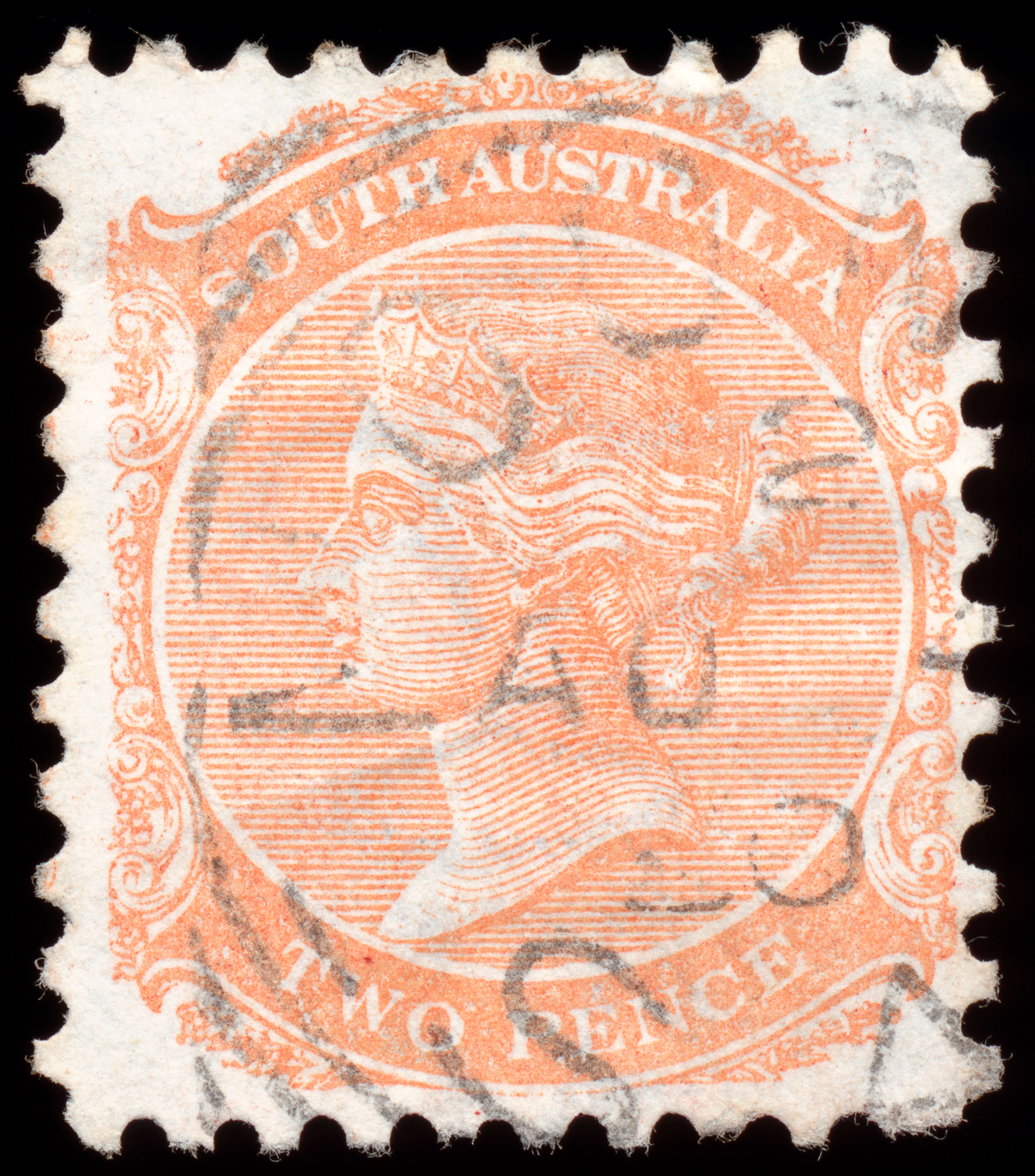 Orange queen victoria stamp photo