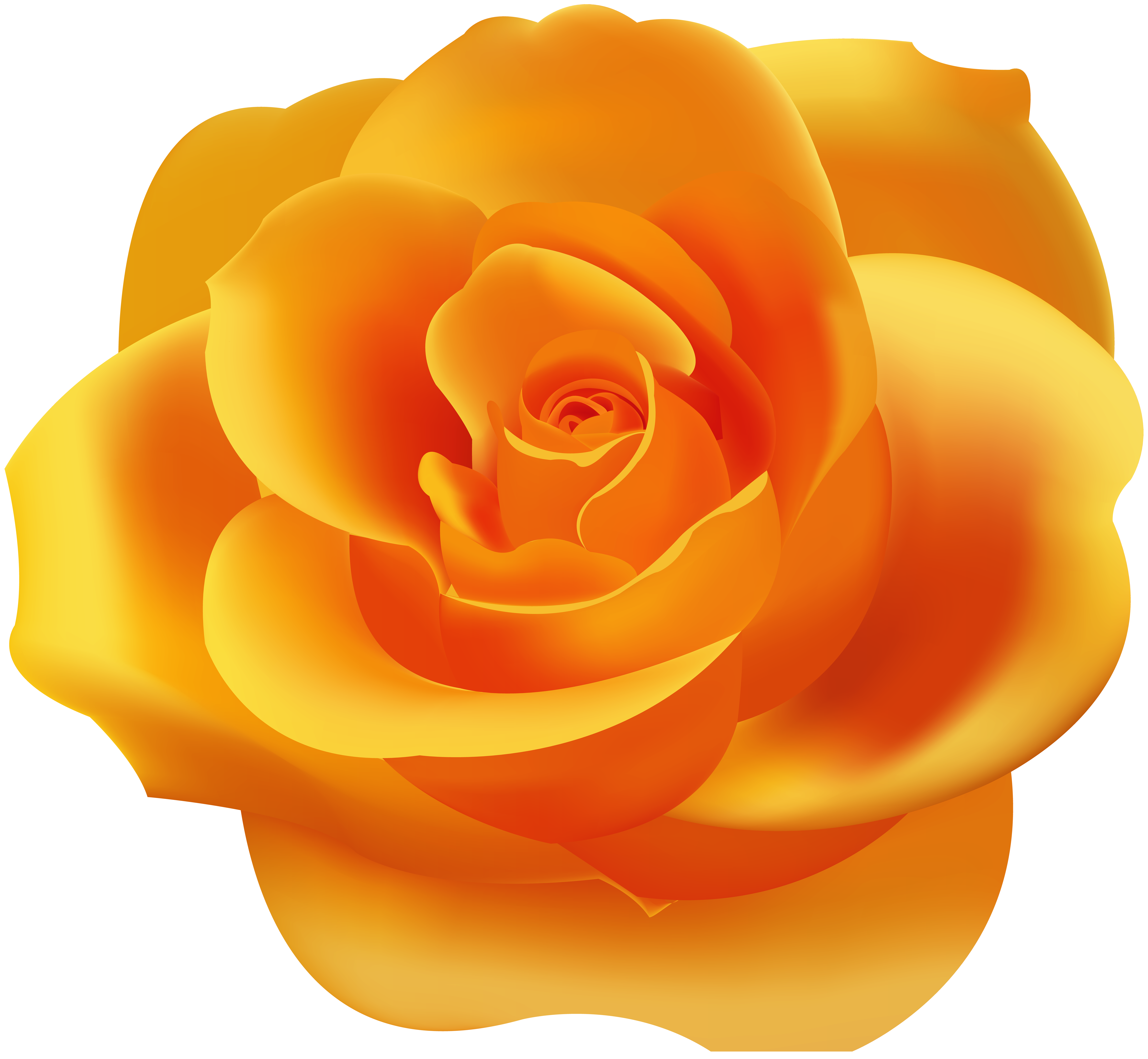 Orange Rose PNG Clip Art | Gallery Yopriceville - High-Quality ...