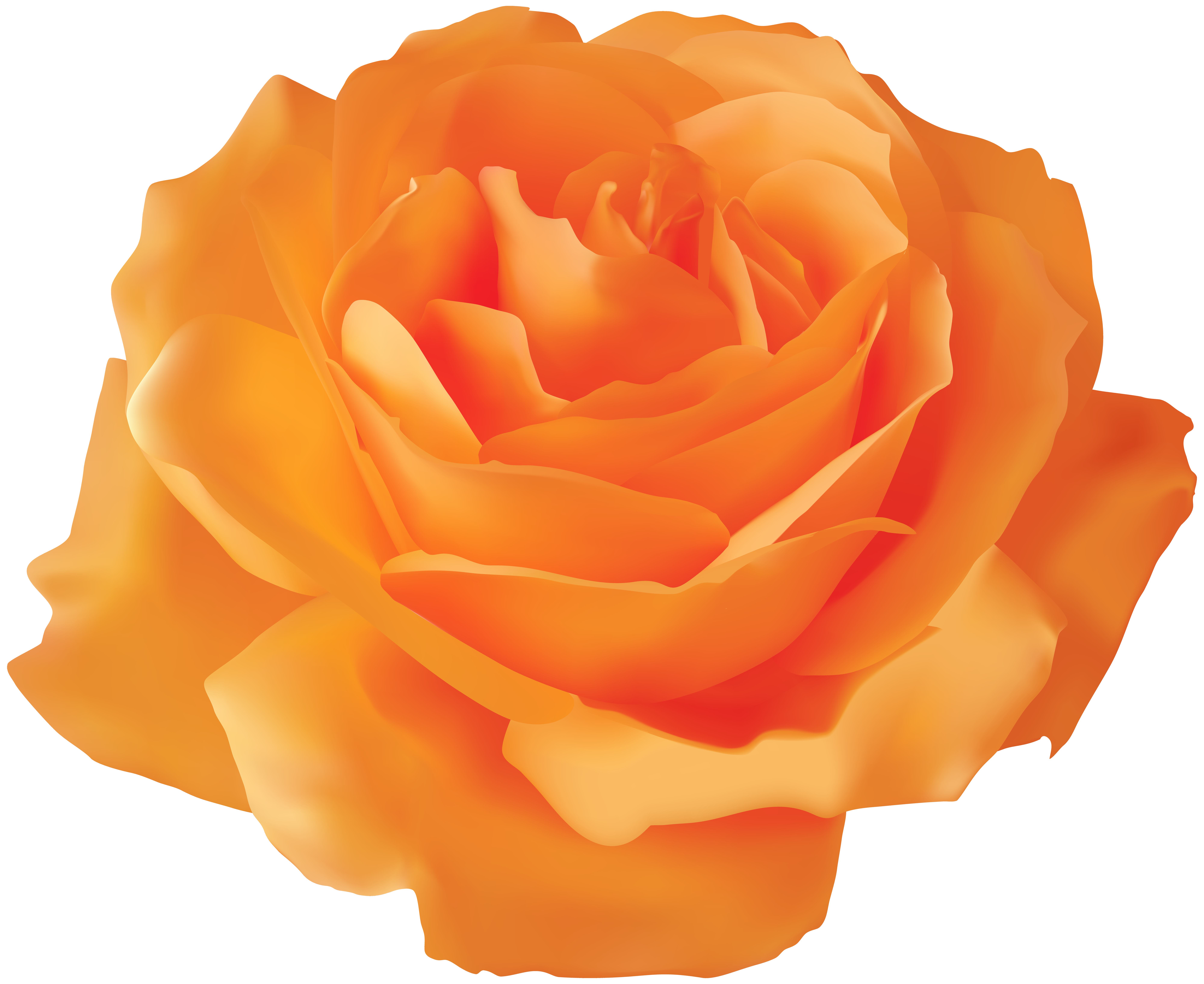 Orange Rose Transparent PNG Clip Art Image | Gallery Yopriceville ...
