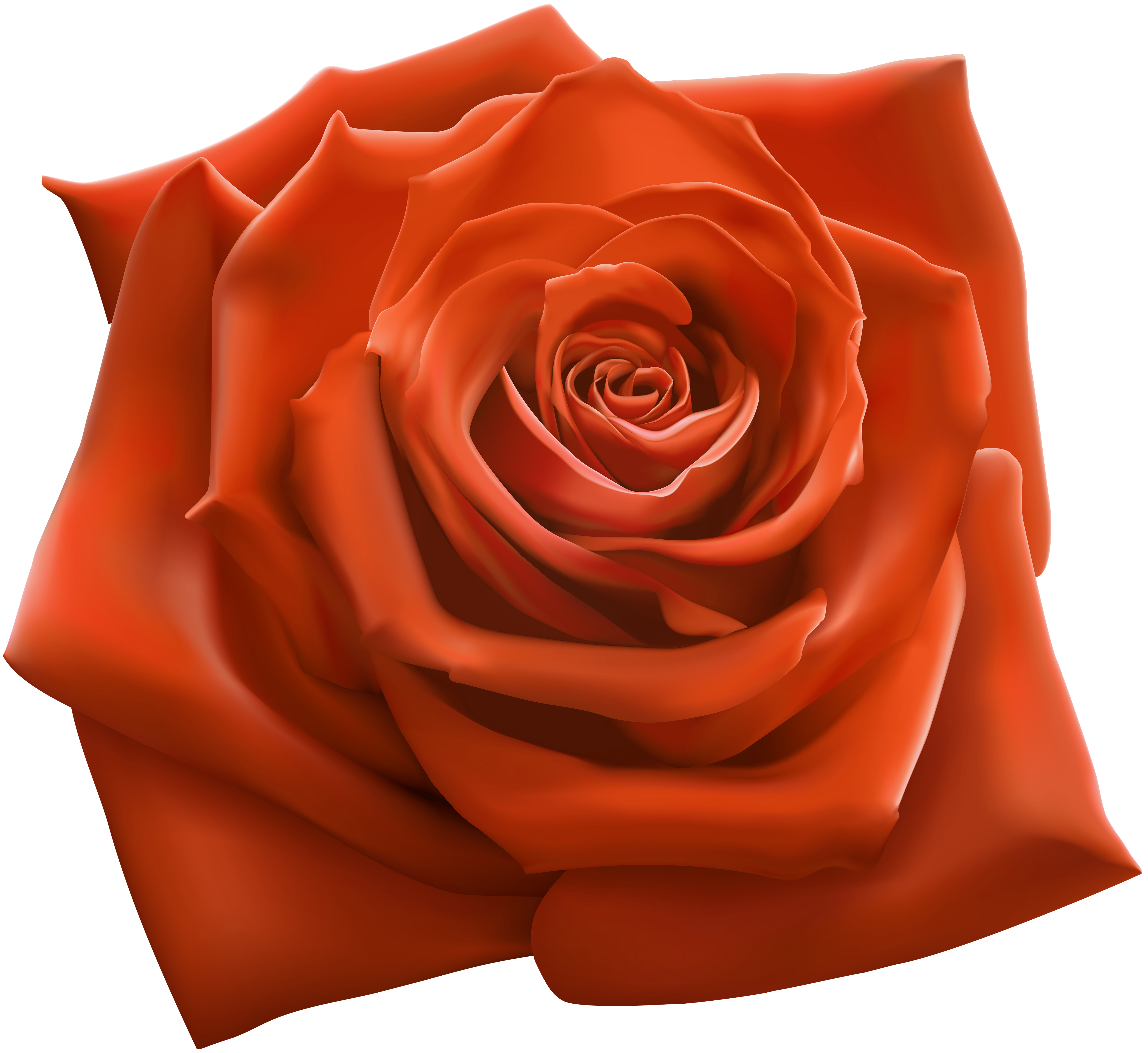 Orange Rose PNG Clipart Image | Gallery Yopriceville - High-Quality ...