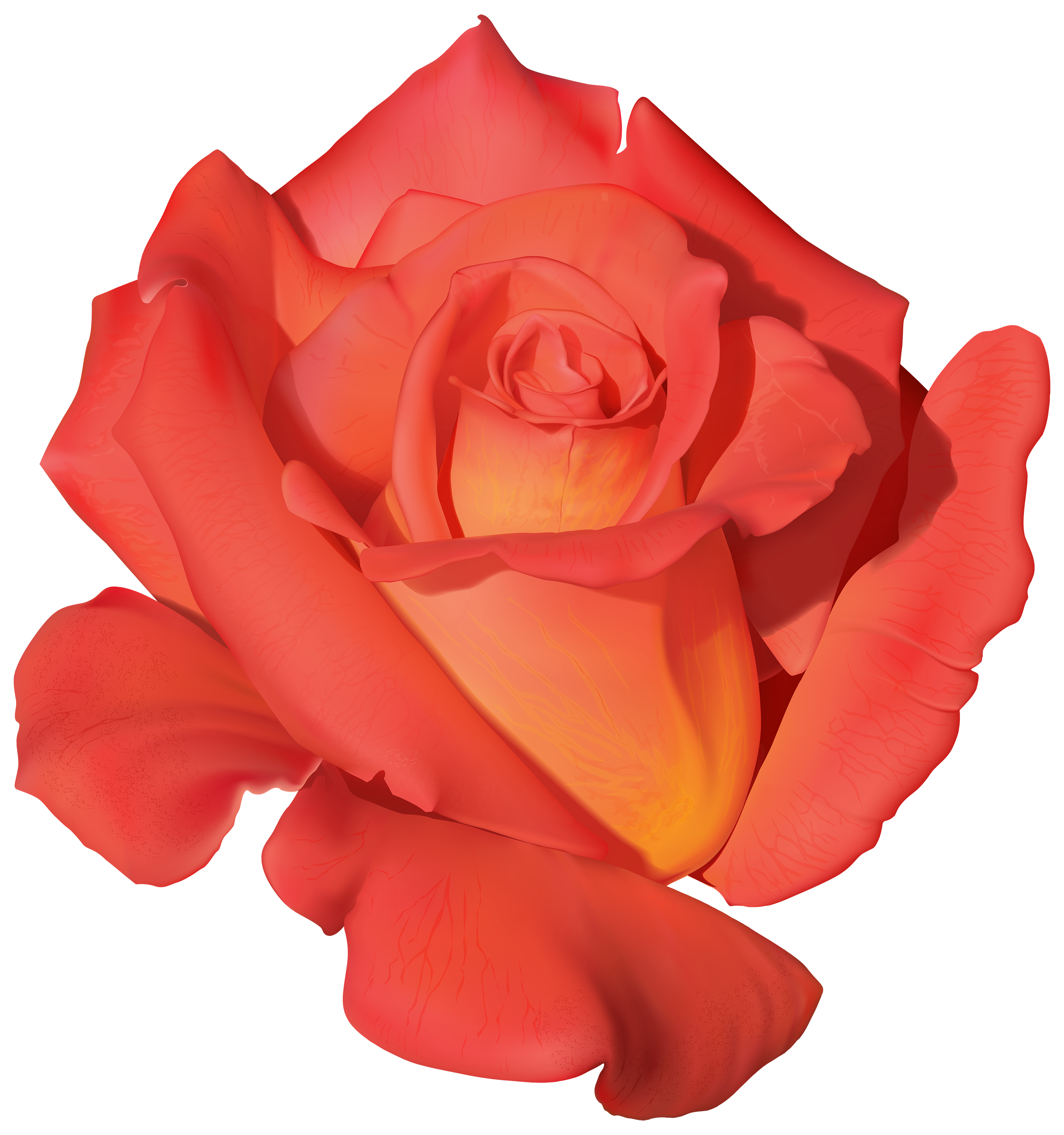 Orange Rose PNG Clipart - Best WEB Clipart