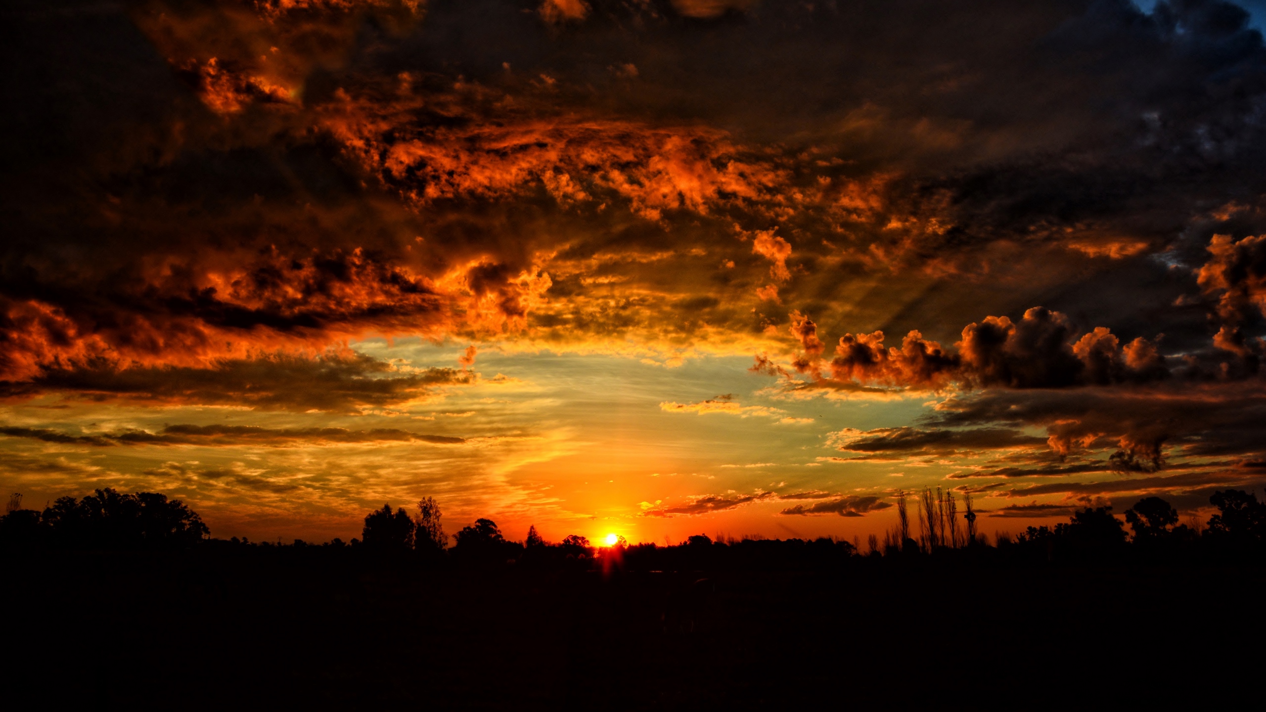 Download wallpaper 2560x1440 sunset, clouds, orange sky widescreen ...