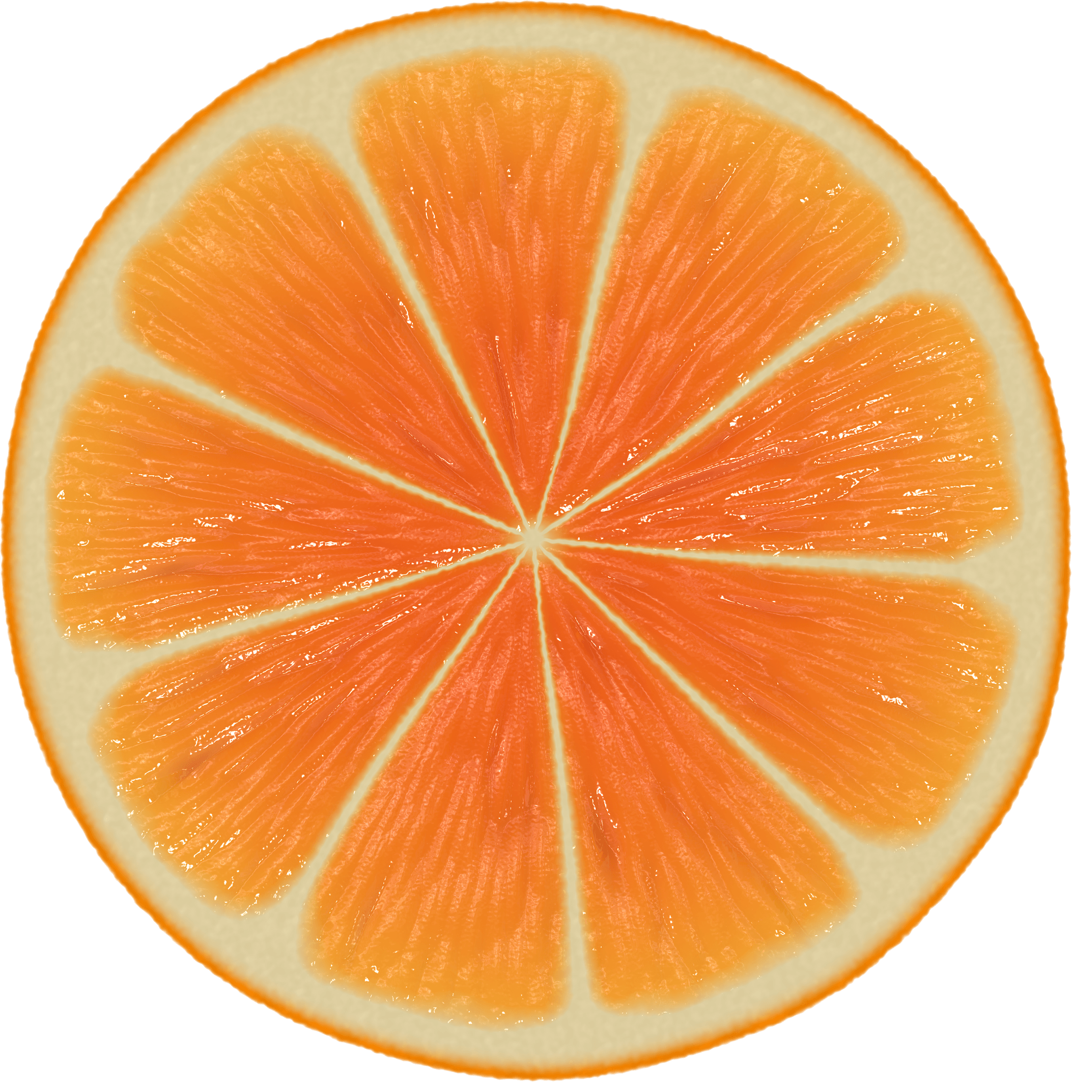 Large Orange Slice transparent PNG - StickPNG