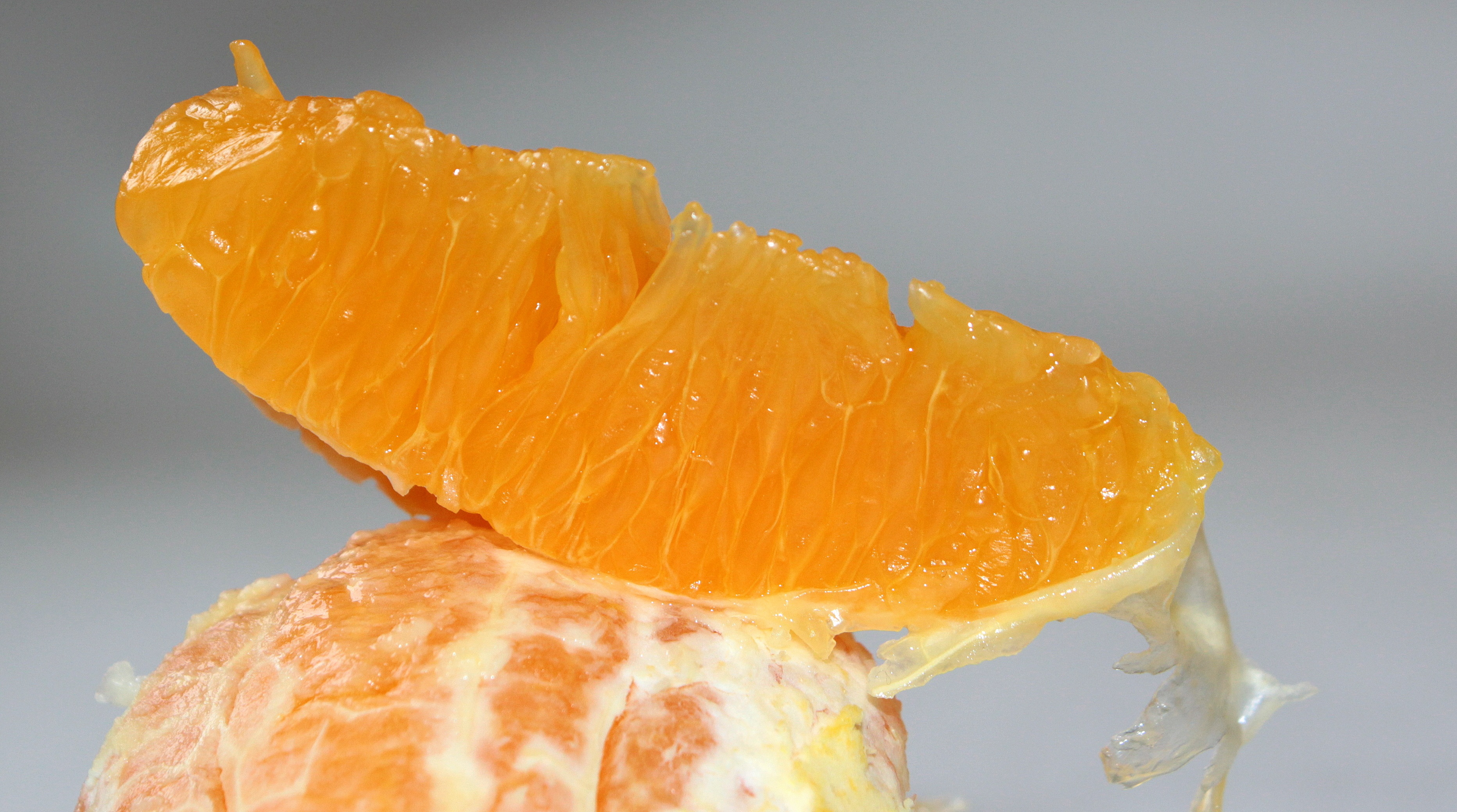 Orange slices photo