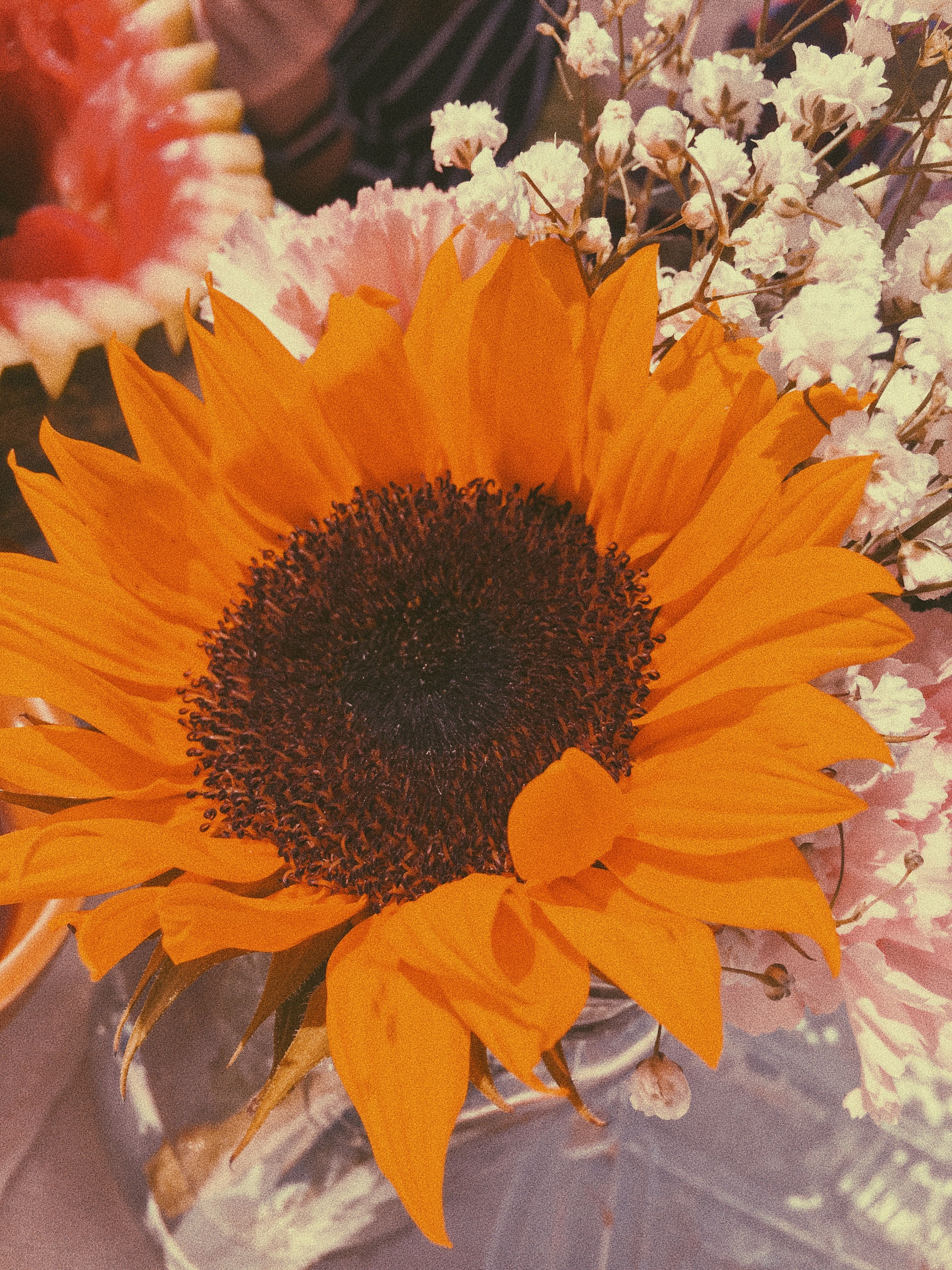 aesthetic #grain #orange #vintage #sunflower | grainy ...