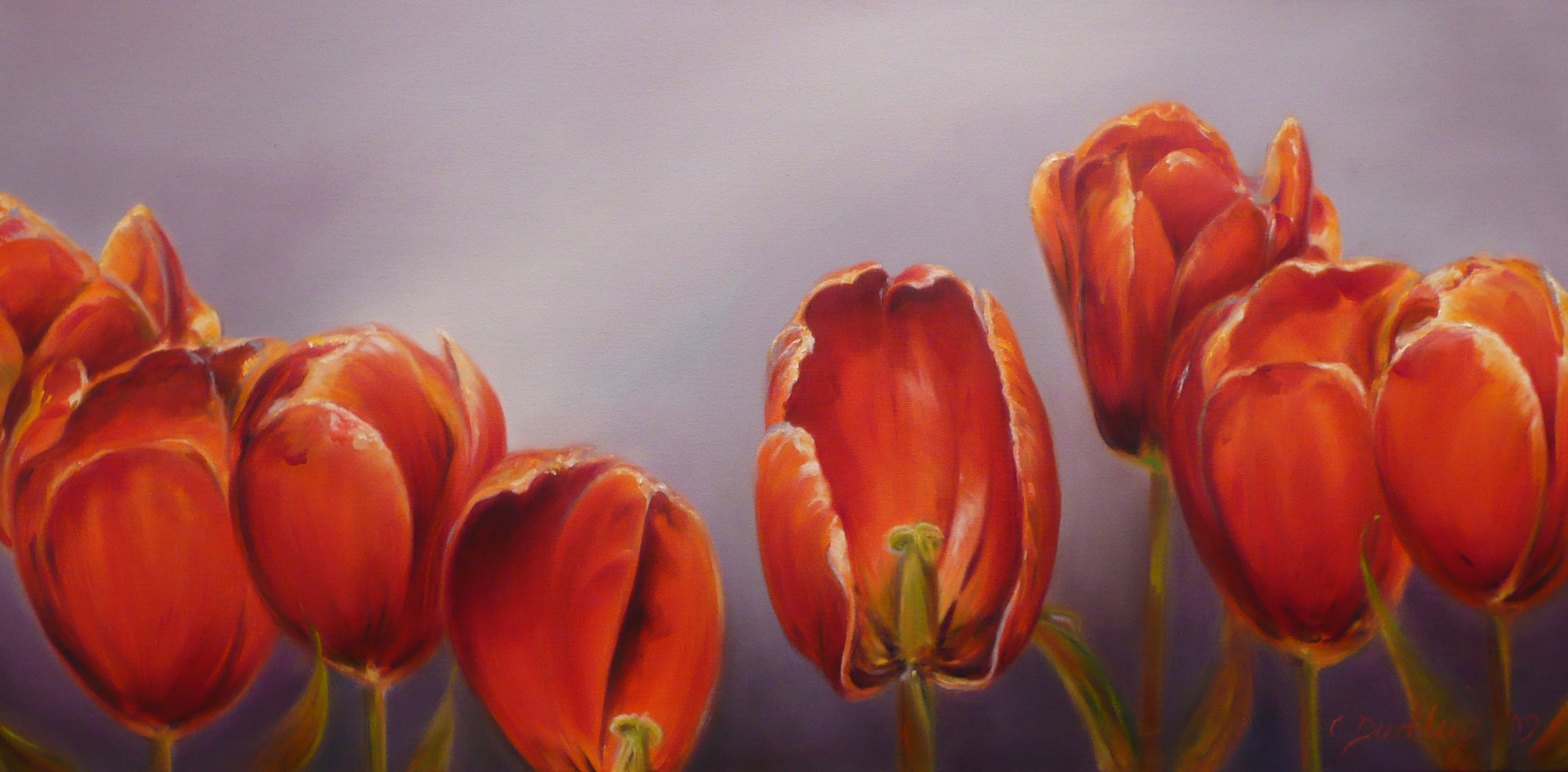 blog-thing : orange tulips