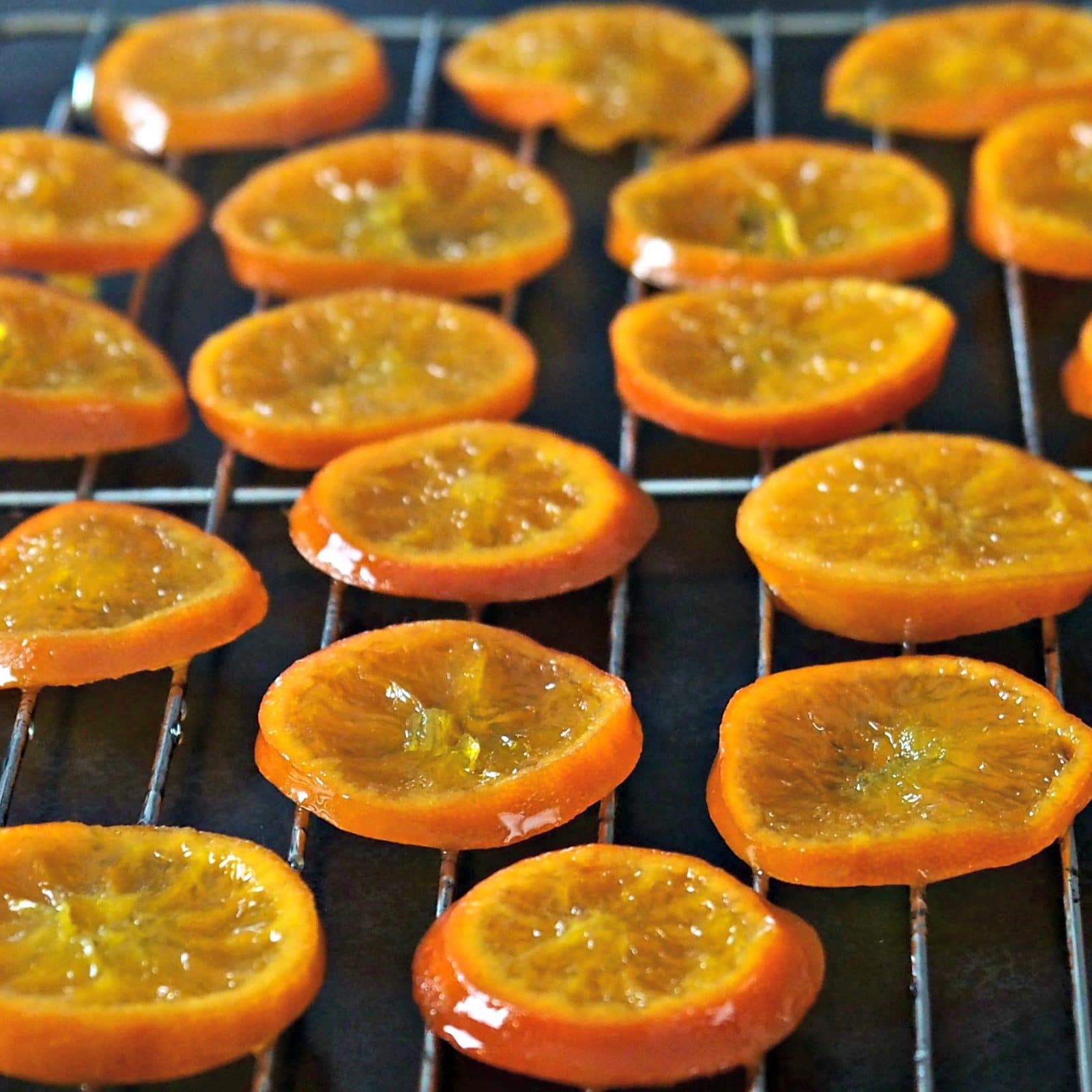 Candied Orange Slices - Simply Sated