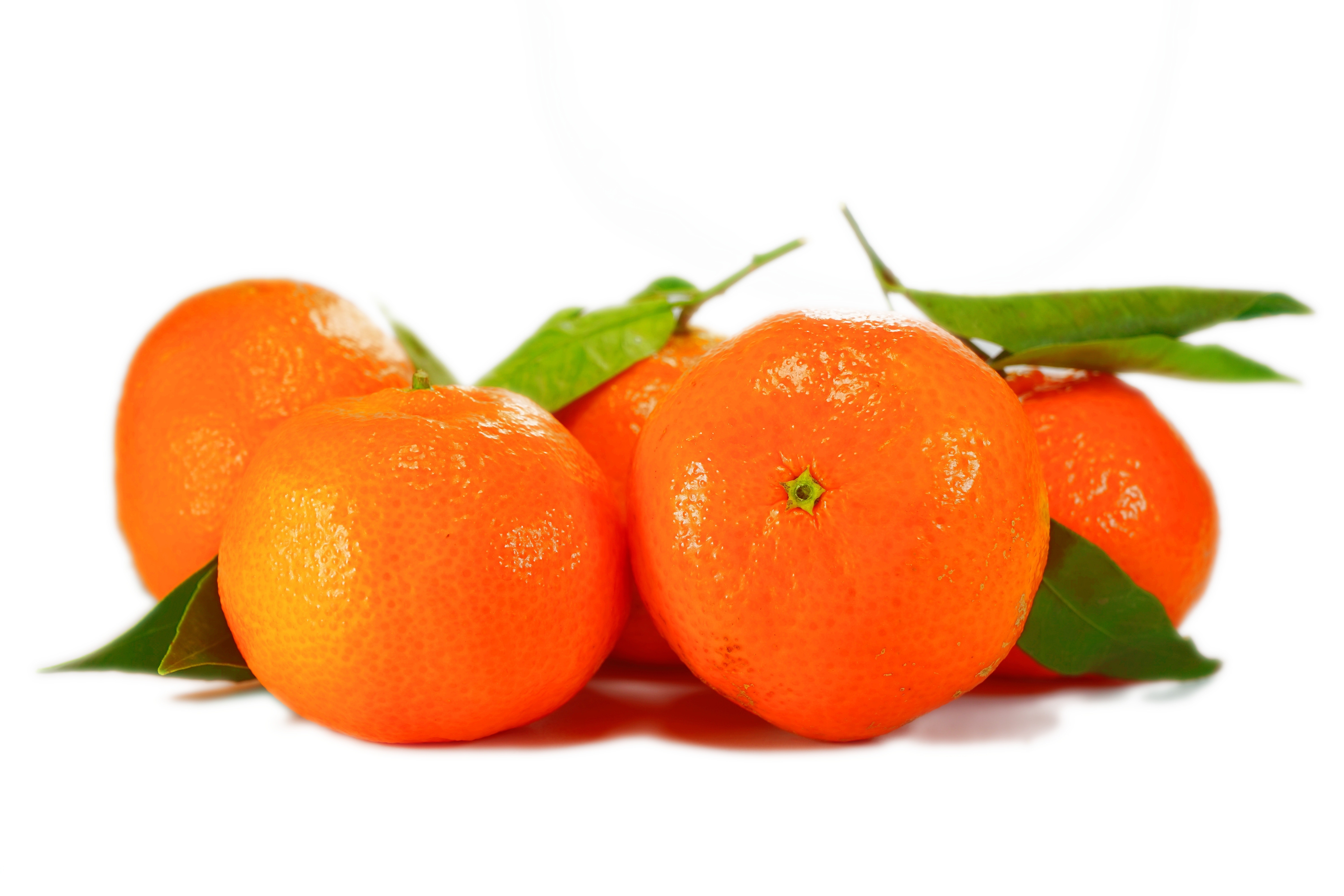 500+ Amazing Oranges Photos · Pexels · Free Stock Photos