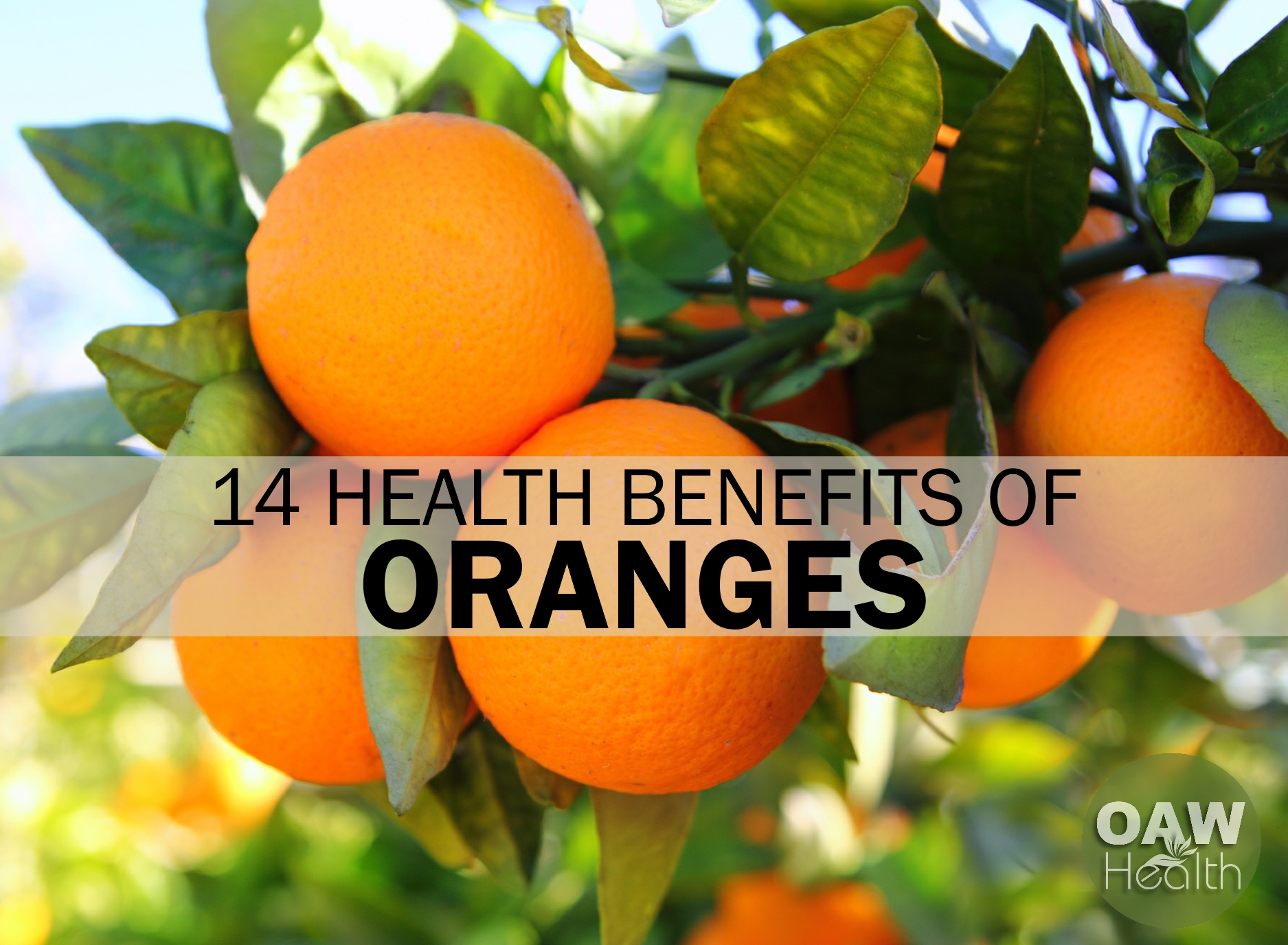 14 Health Benefits of Oranges - OAWHealth