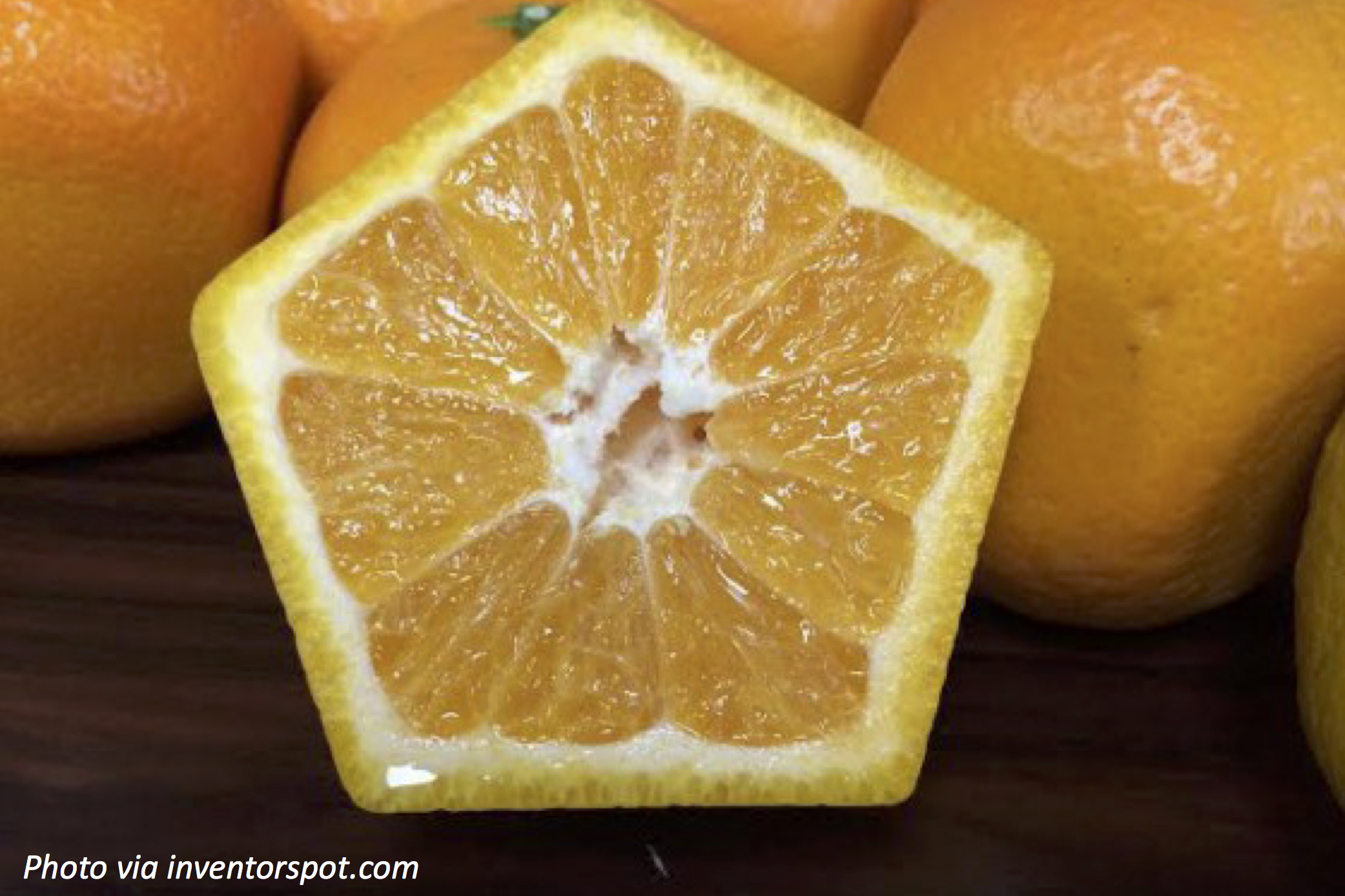 Orange You Glad You're Not Round?—Bedtime Math—Daily Math