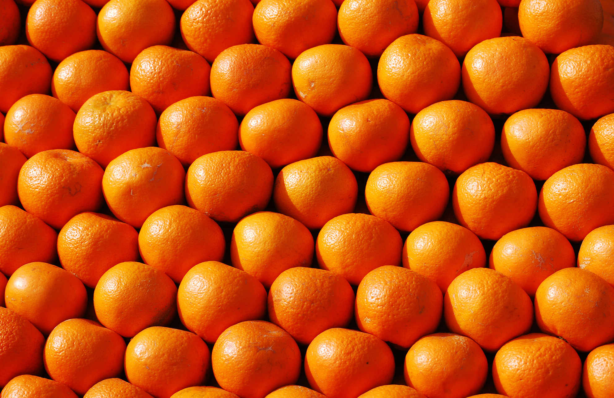 20K Tons of Egyptian Oranges Purchased | Financial Tribune
