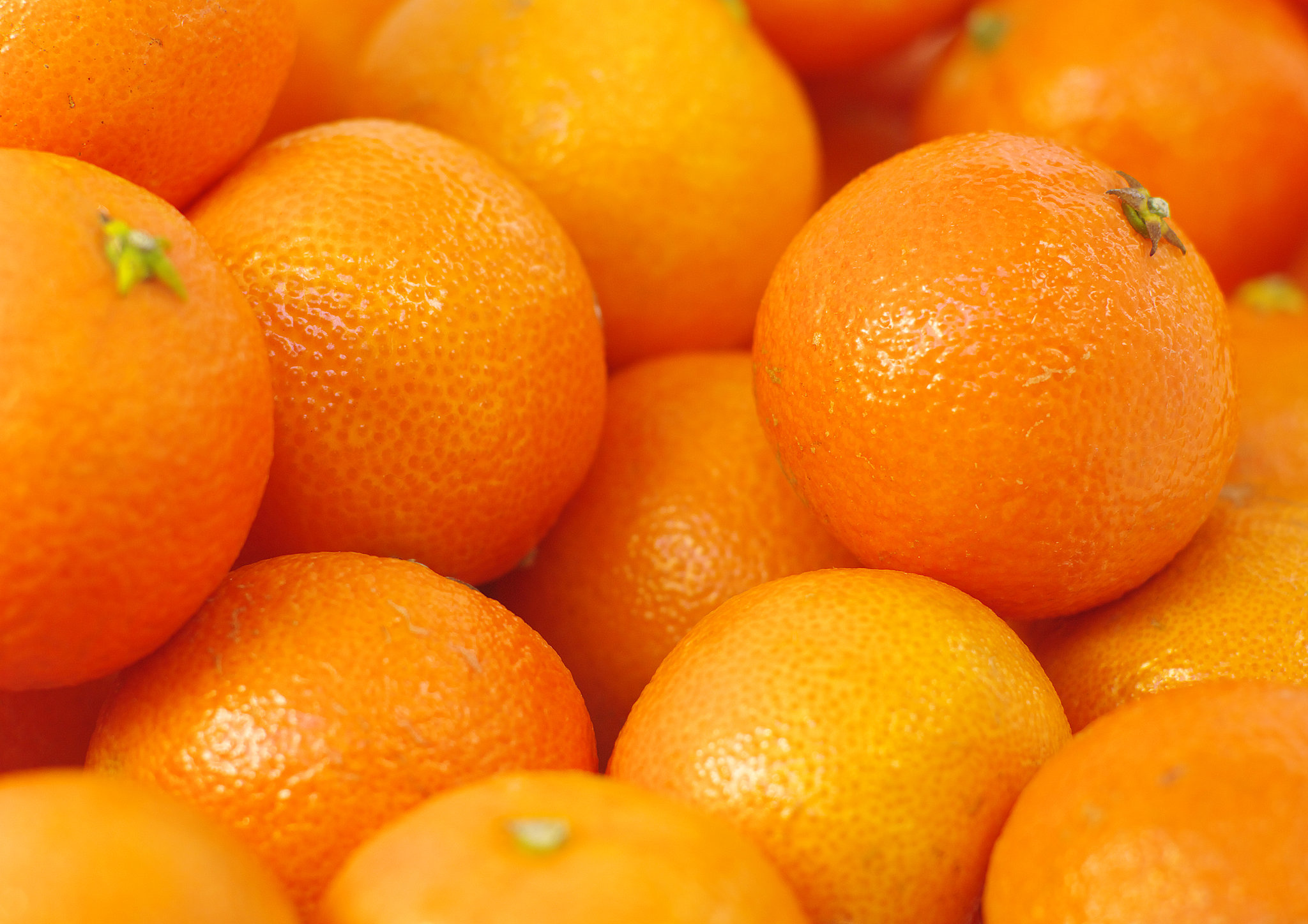Nutrition Facts of Beloved Oranges | About Islam