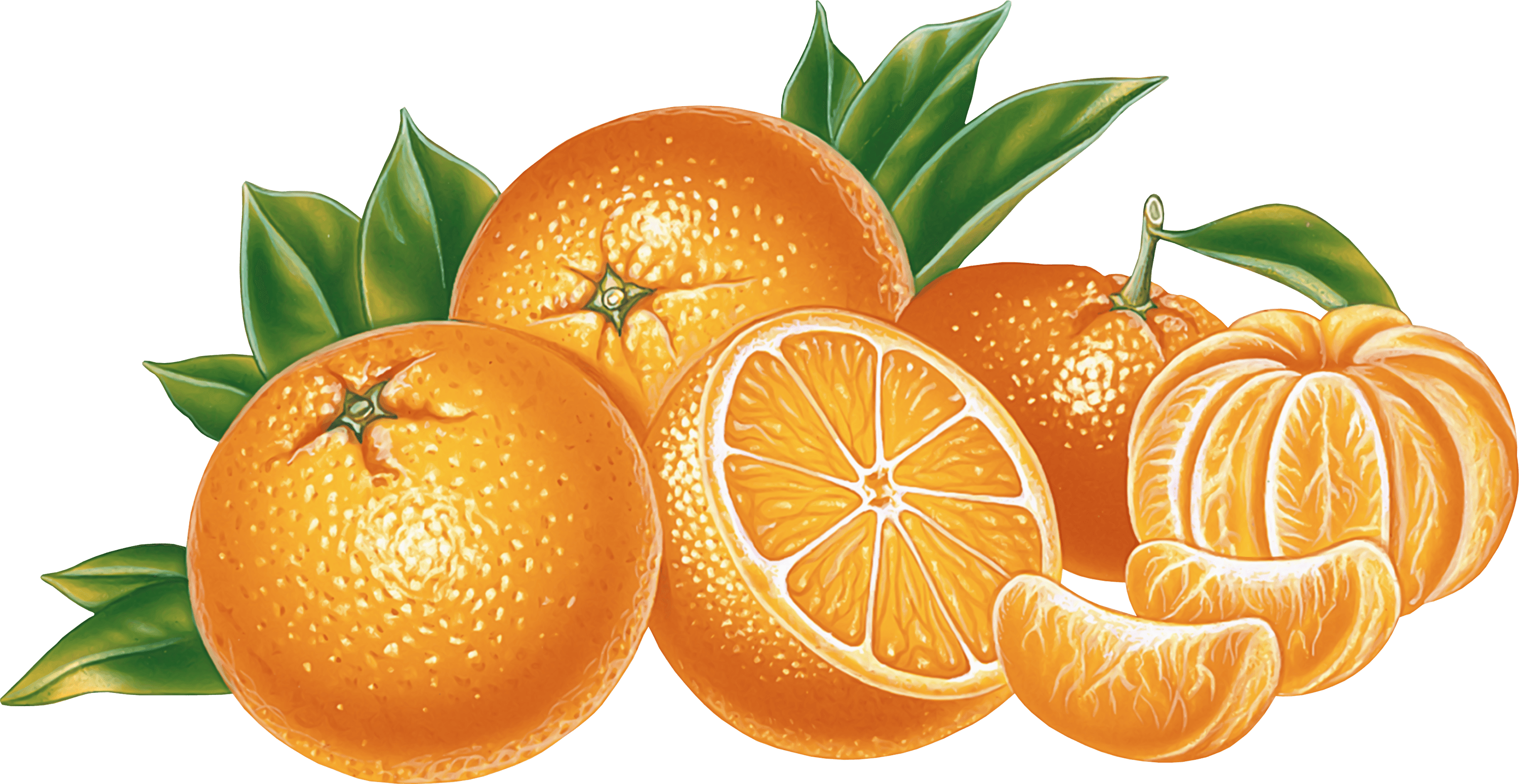 Oranges transparent PNG images - StickPNG