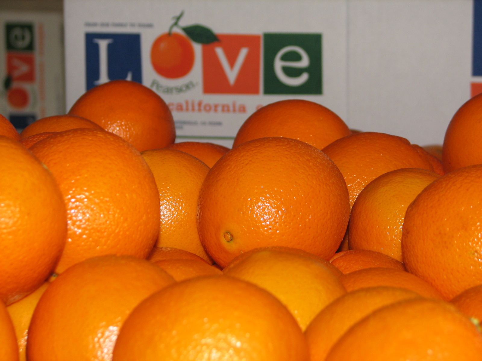 California Oranges - Gift Grade California Navel Oranges