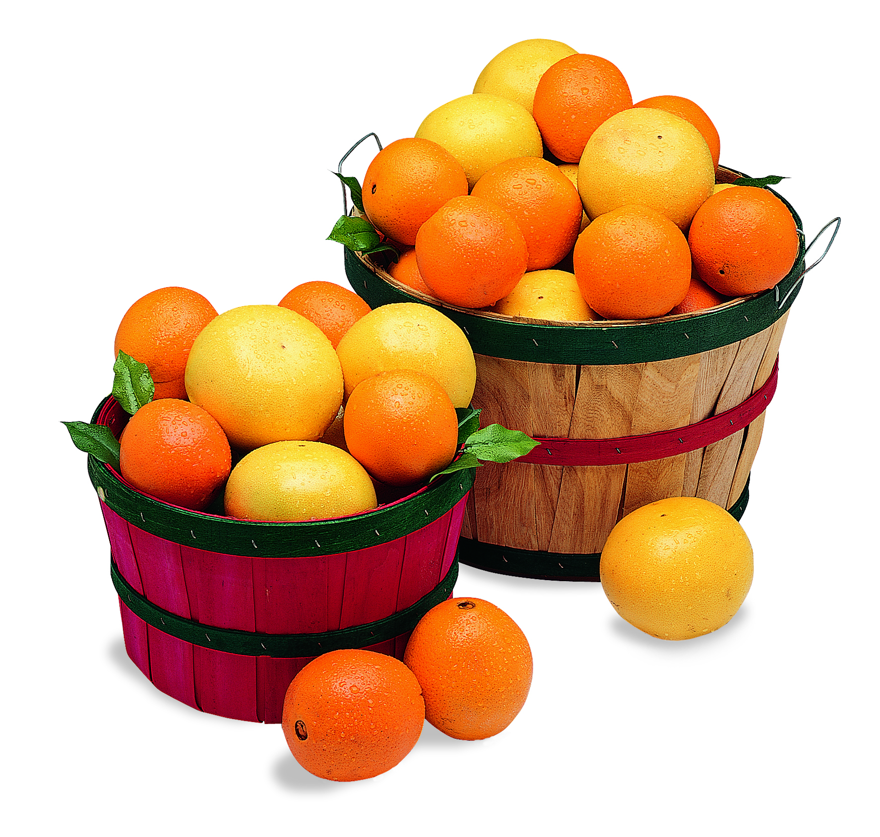 Florida Grove Basket- Ruby Red Grapefruit & Oranges - Tropical Fruit ...