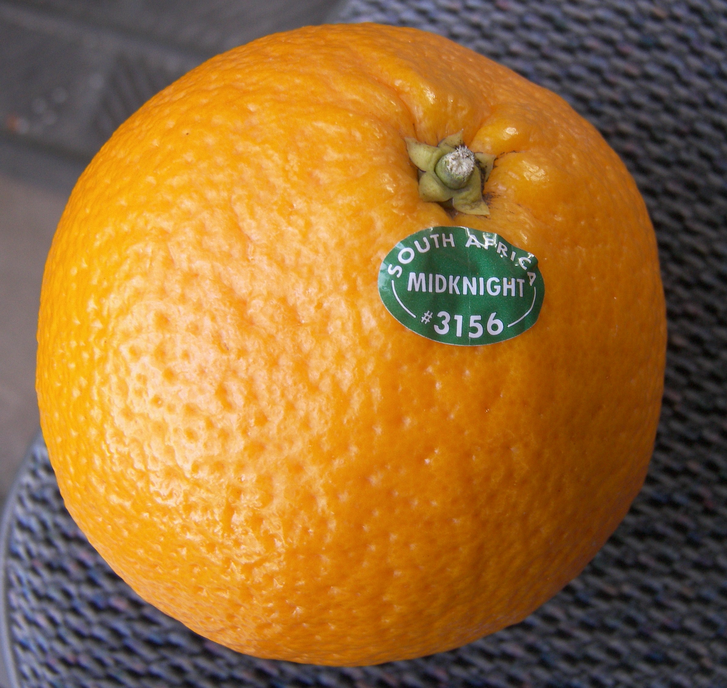 Midknight Orange - Eat Like No One Else