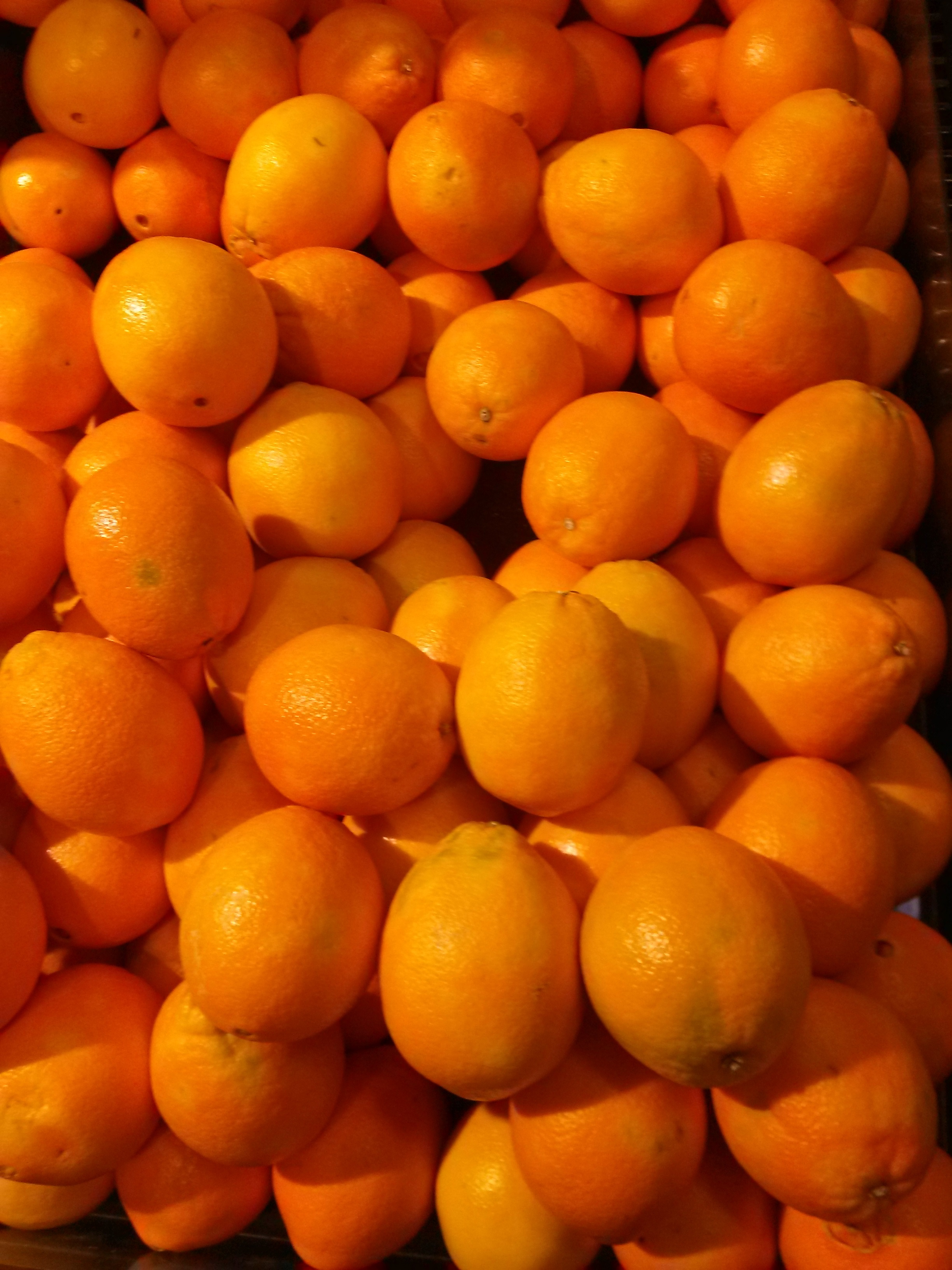 Lemon, Lime, Orange and Grapefruit: Citrus Allergy | Family Allergy ...