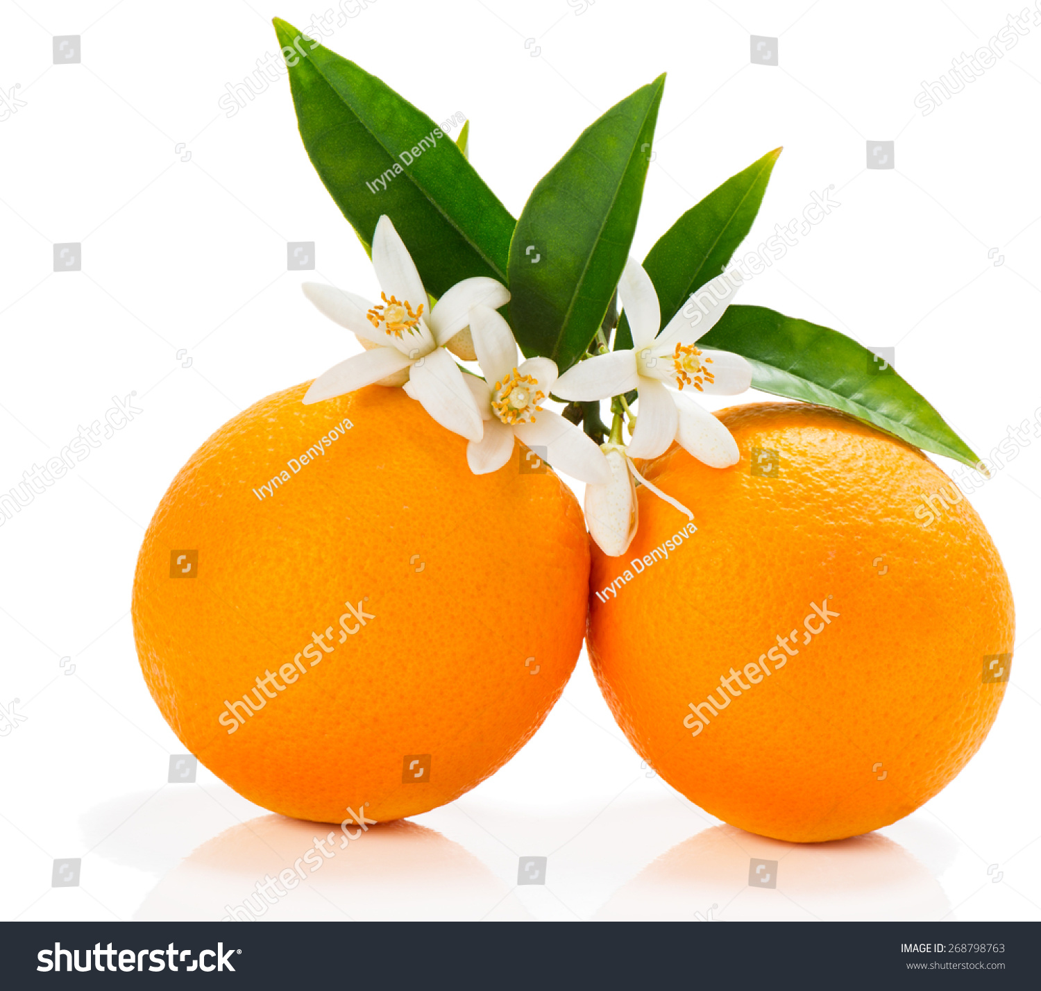Two Oranges Leaves Blossom Isolated On Stock Photo (Royalty Free ...