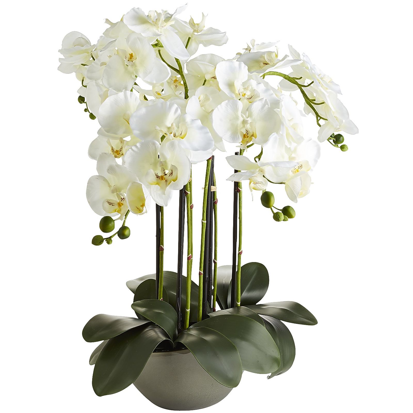 Faux Oversized Orchid Arrangement | Pier 1 Imports