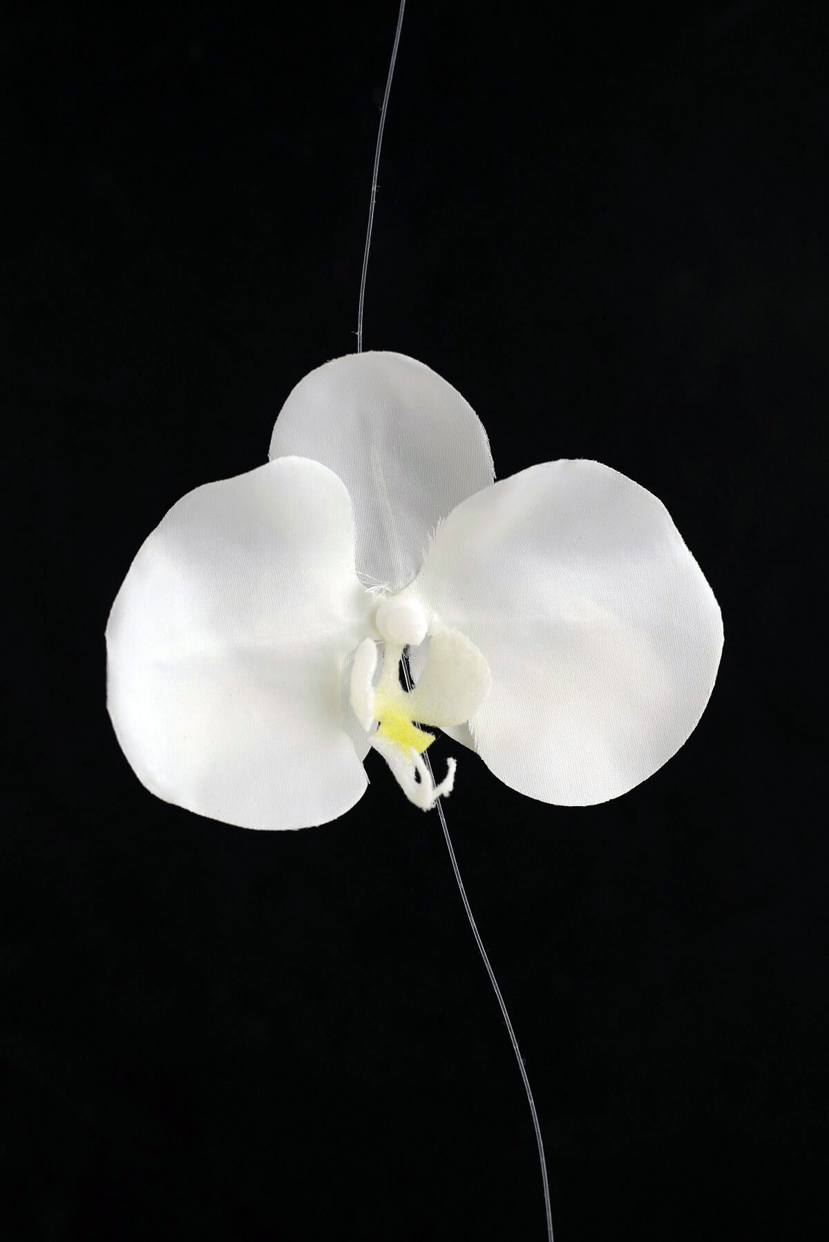 Silk White Orchid Garland 6ft 10 Orchids