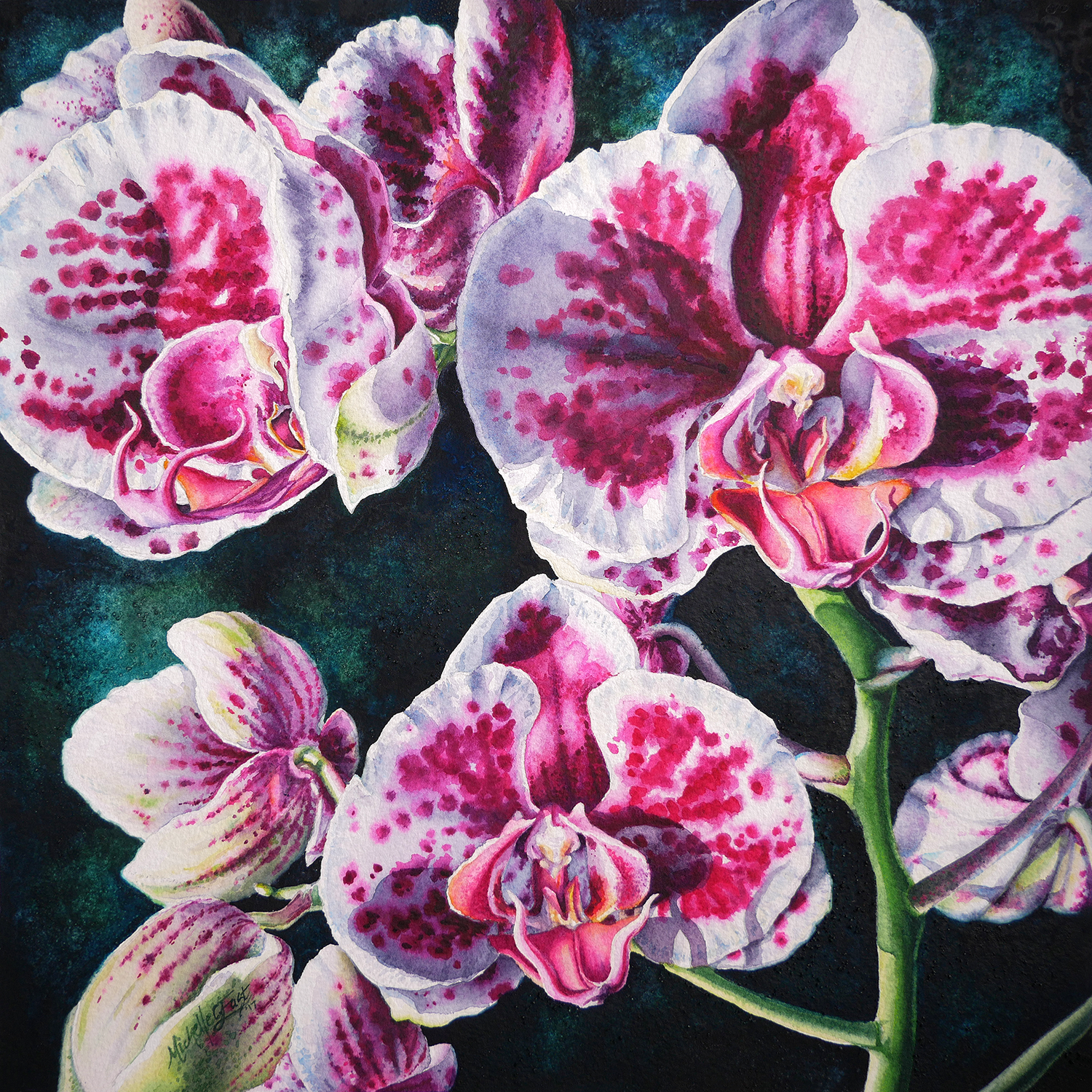 Pink and White Orchids #2 - Michelle East Art