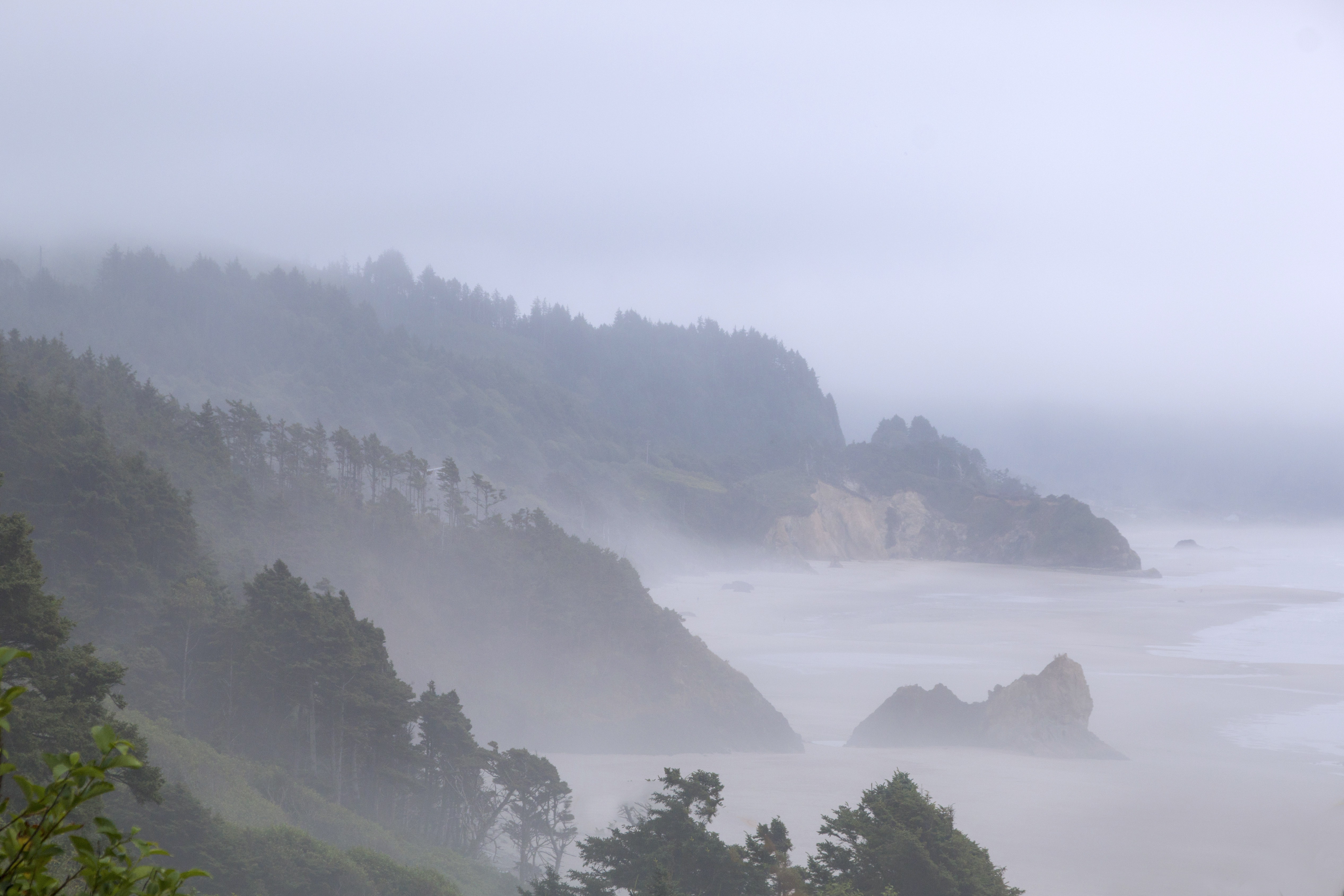 Oregon coastal in fog photo
