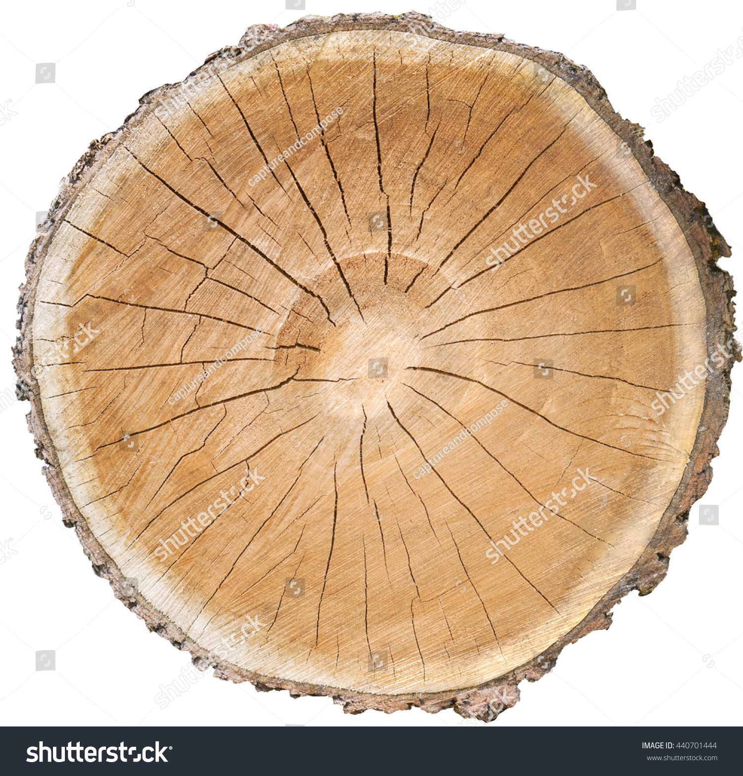 Royalty-free Three wood slice cross section with… #440701444 Stock ...