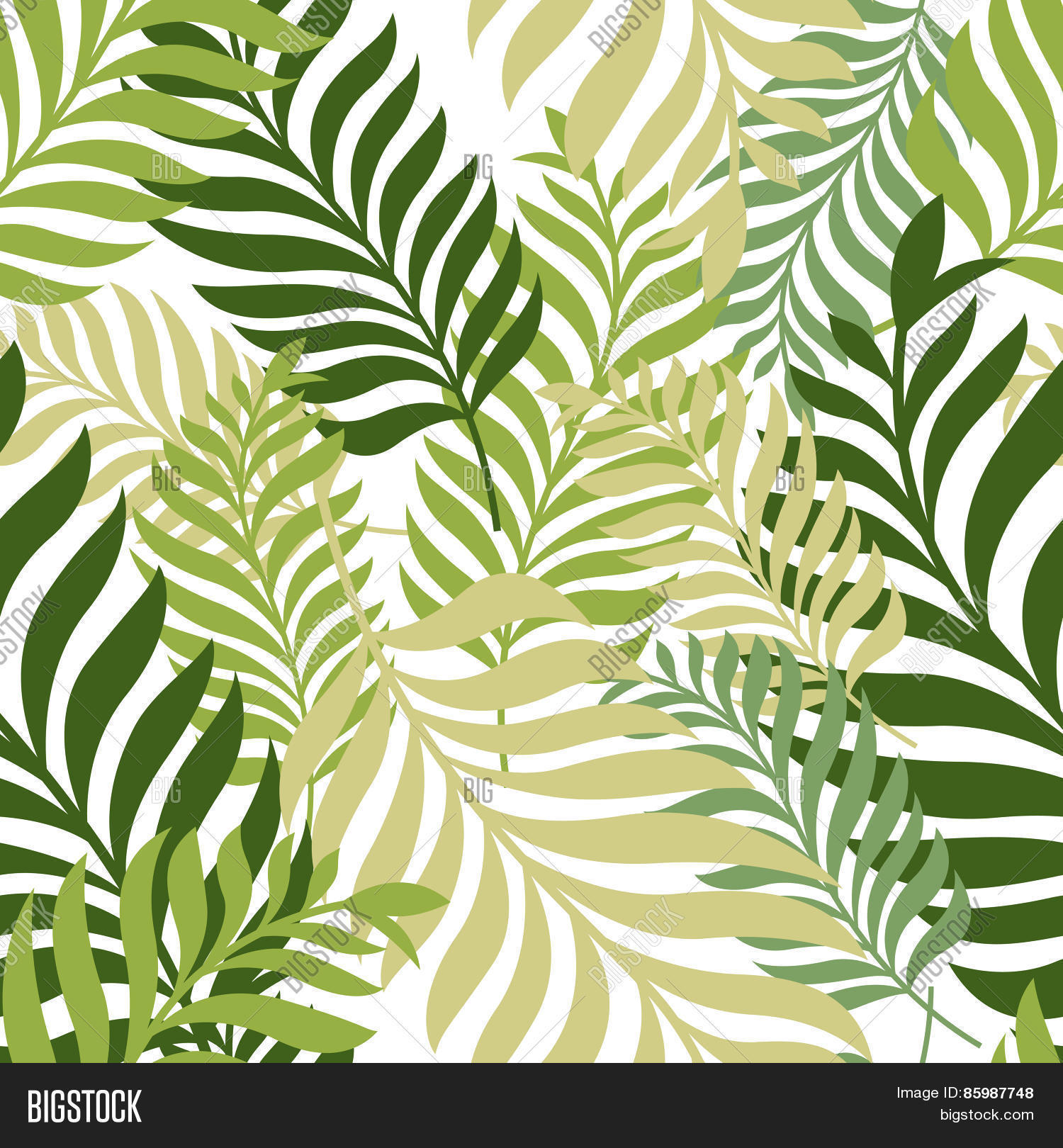 Palm leaf background photo