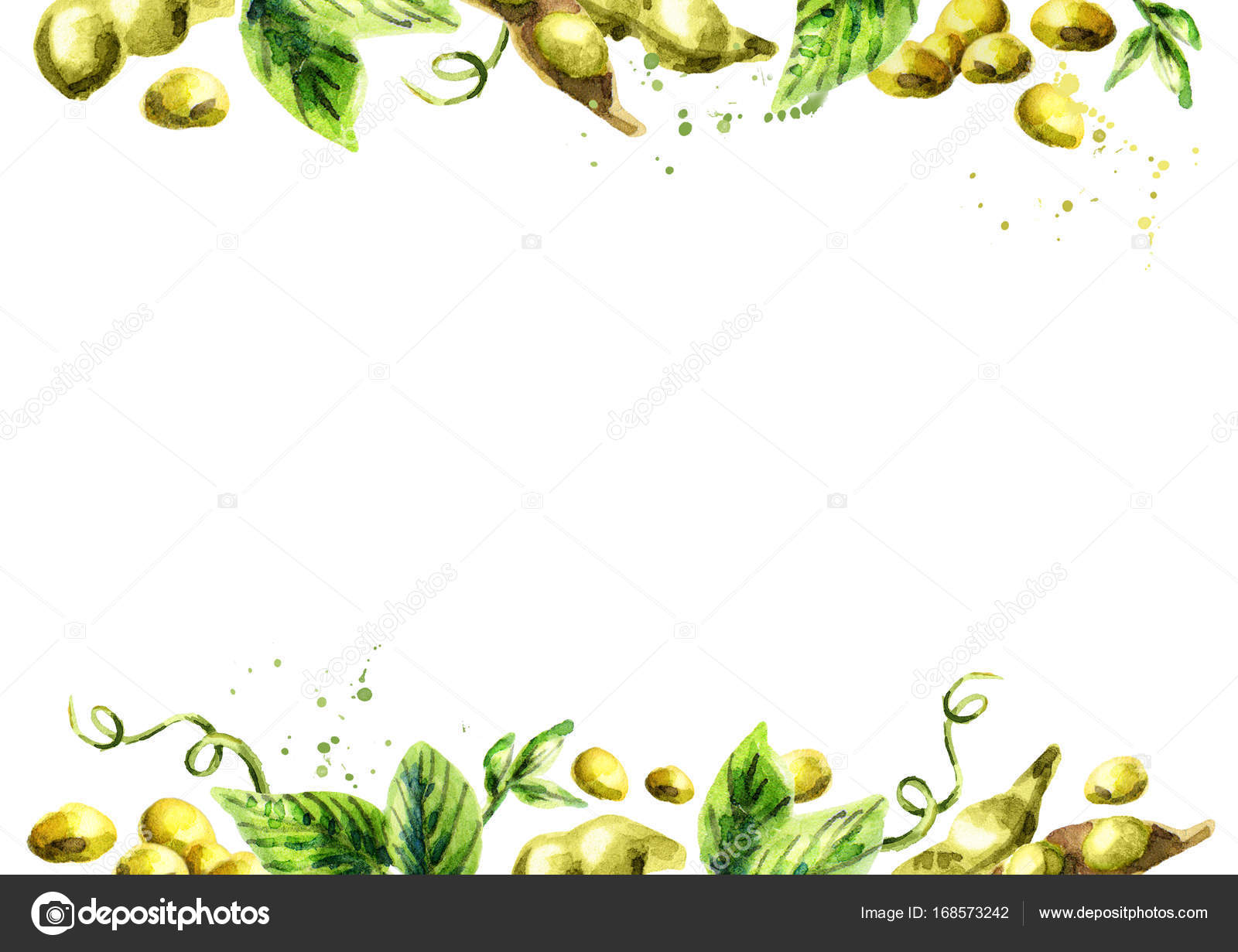 Organic Soybean template. Watercolor background — Stock Photo ...