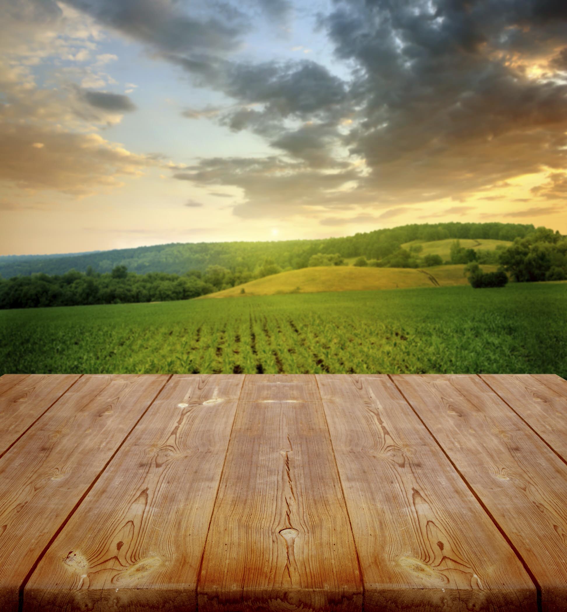 summer background with wooden planks - Harvest2U