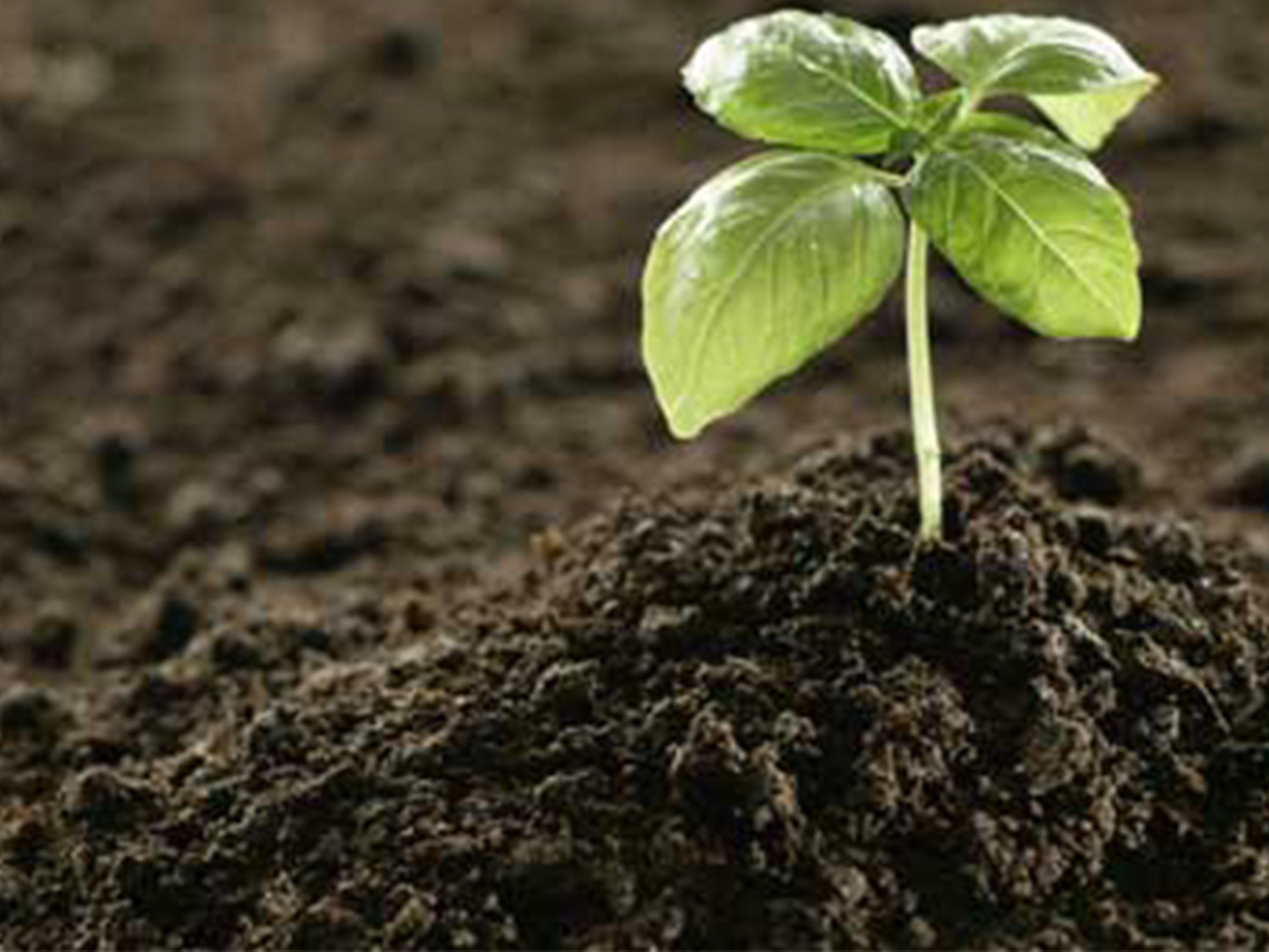 Converted Organics – Organic fertilizer companies see growing market