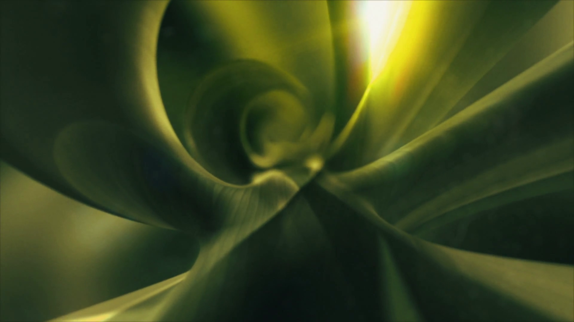 Abstract organic background resembling a plant. Loop. Stock Video ...