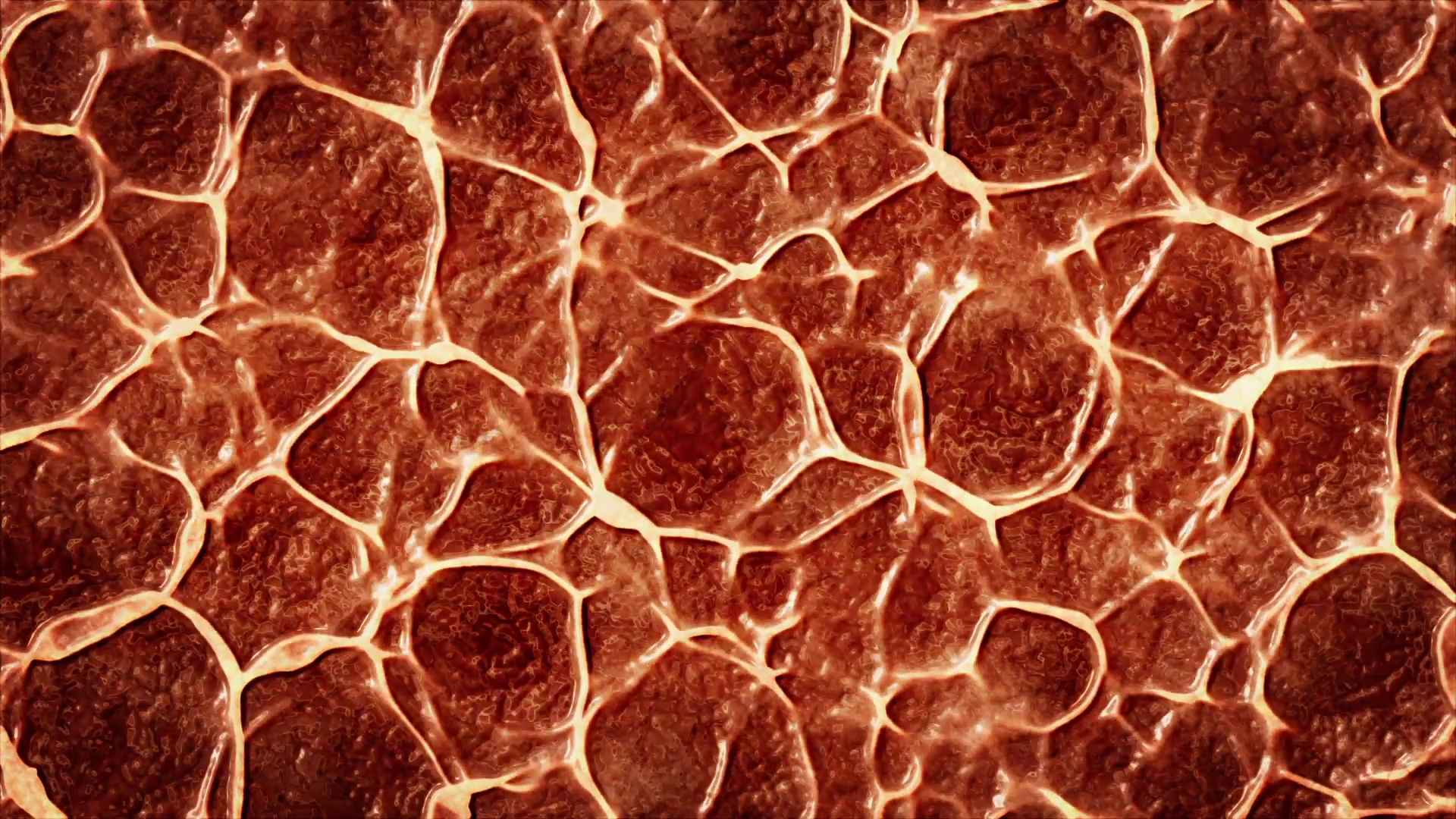 Red organic cell HD stock footage. Abstract cell texture with an ...