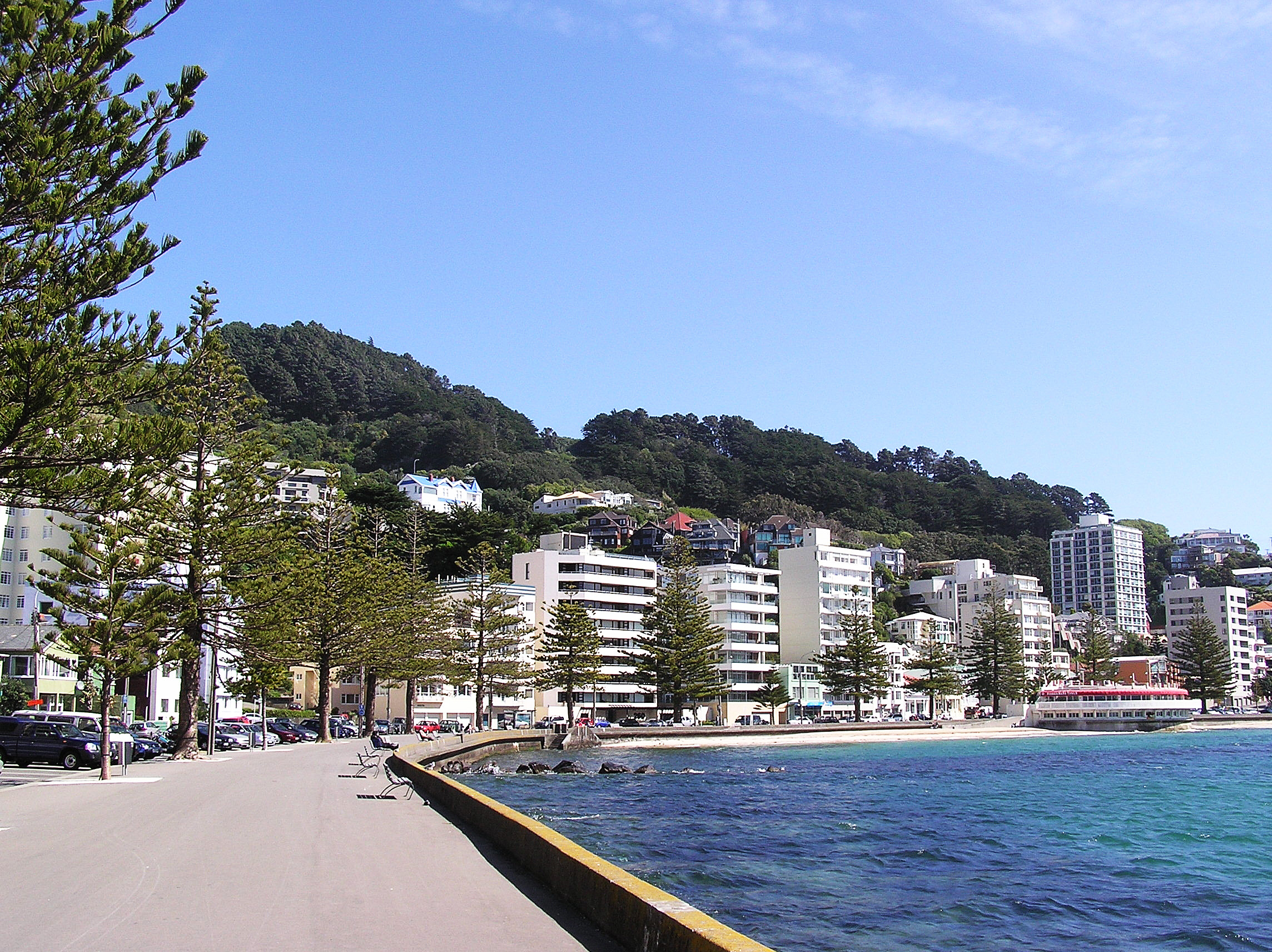 File:Wellington Oriental Bay.JPG - Wikimedia Commons