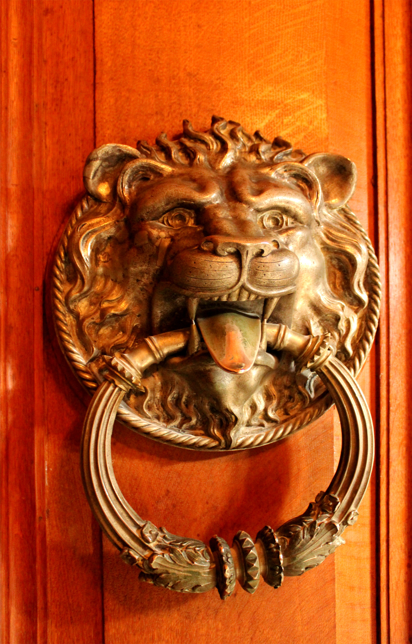 Ornate ancient door knocker photo