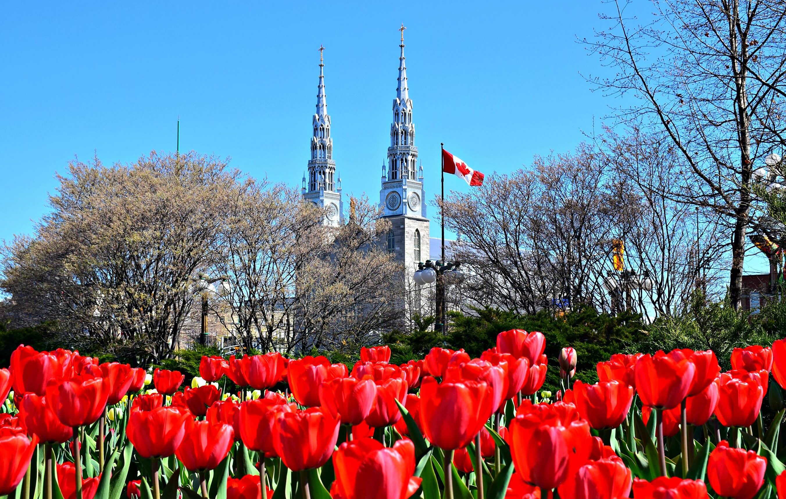 6 REASONS TO VISIT THE CANADIAN TULIP FESTIVAL IN OTTAWA - Travel ...