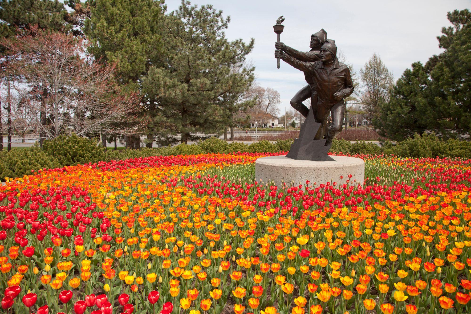 Tulips in the Capital | National Capital Commission