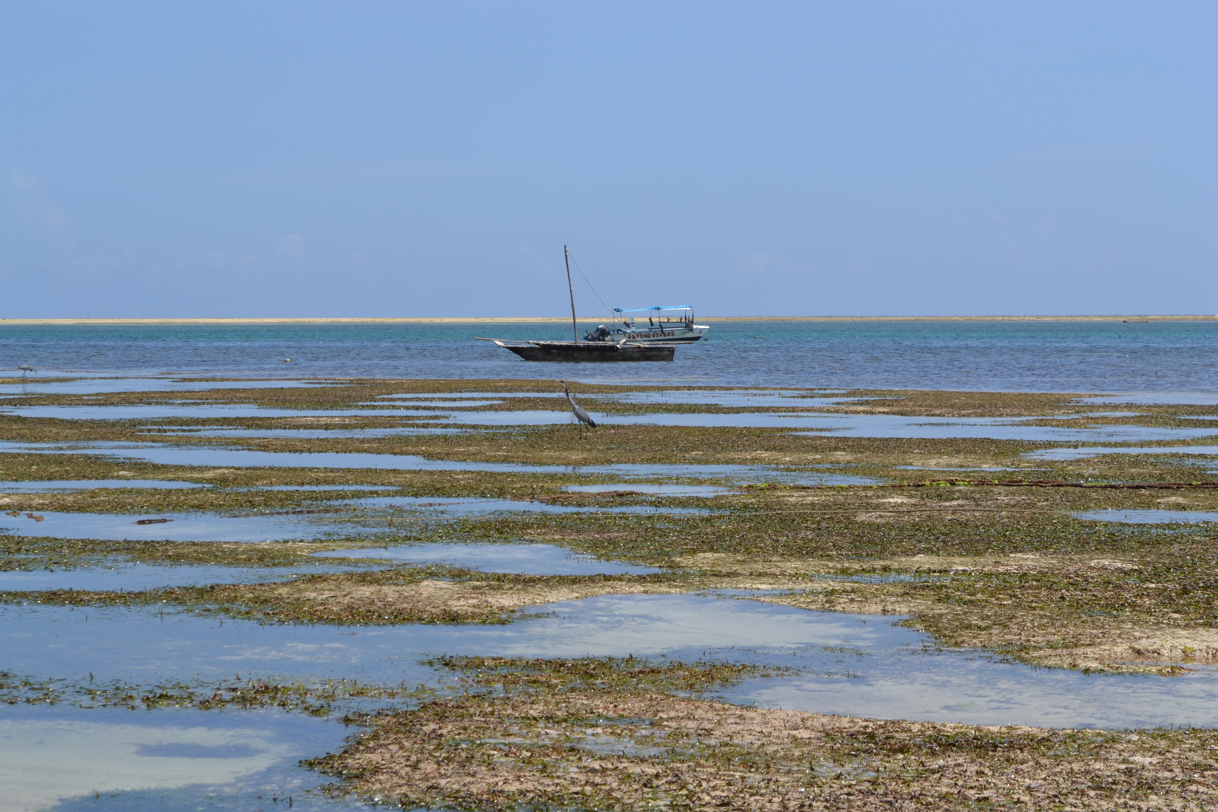 File:View out to sea on Nyali Beach during low tide and still ...