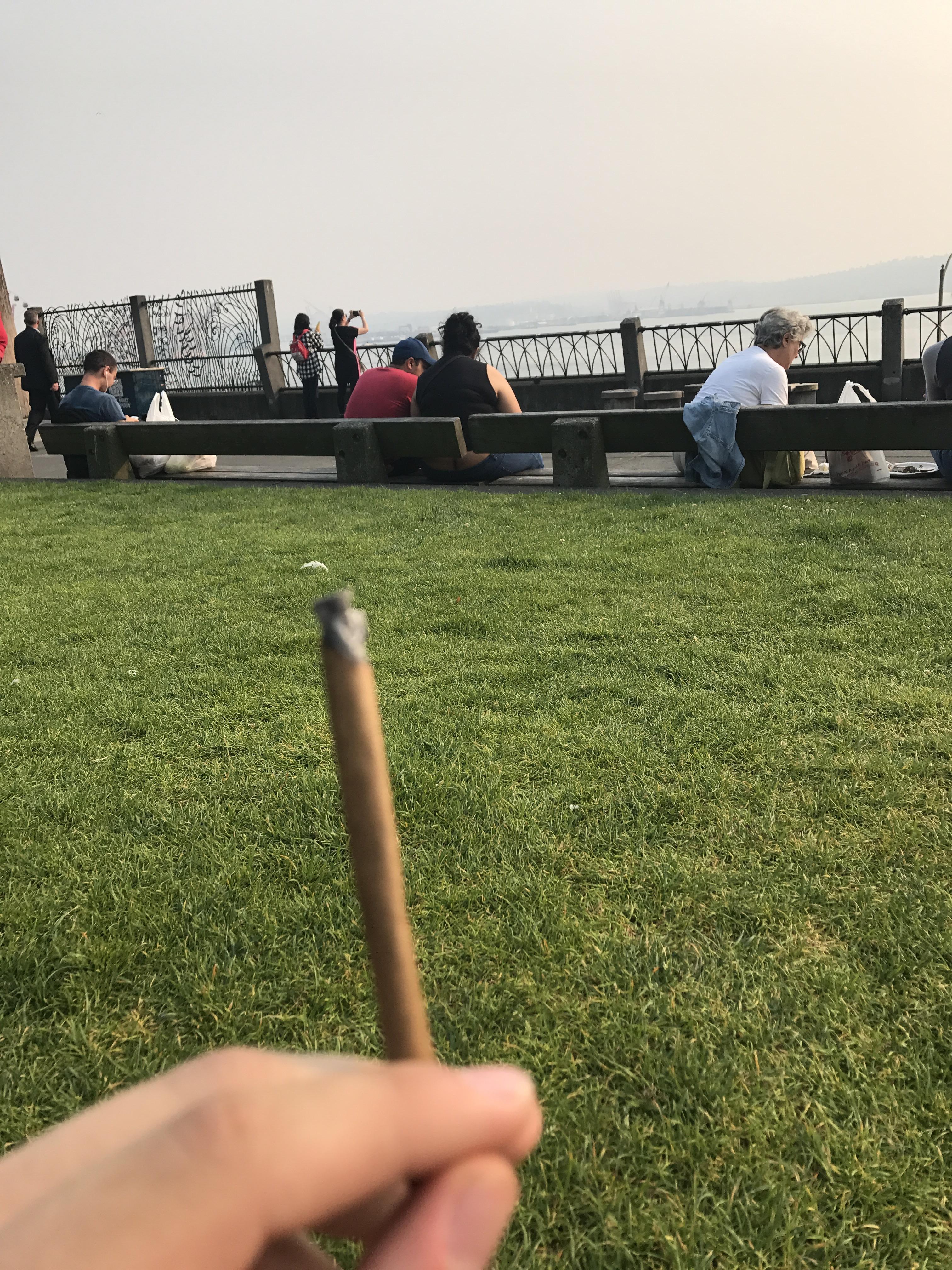 First trip out to a legal state! Thanks Seattle :) : trees