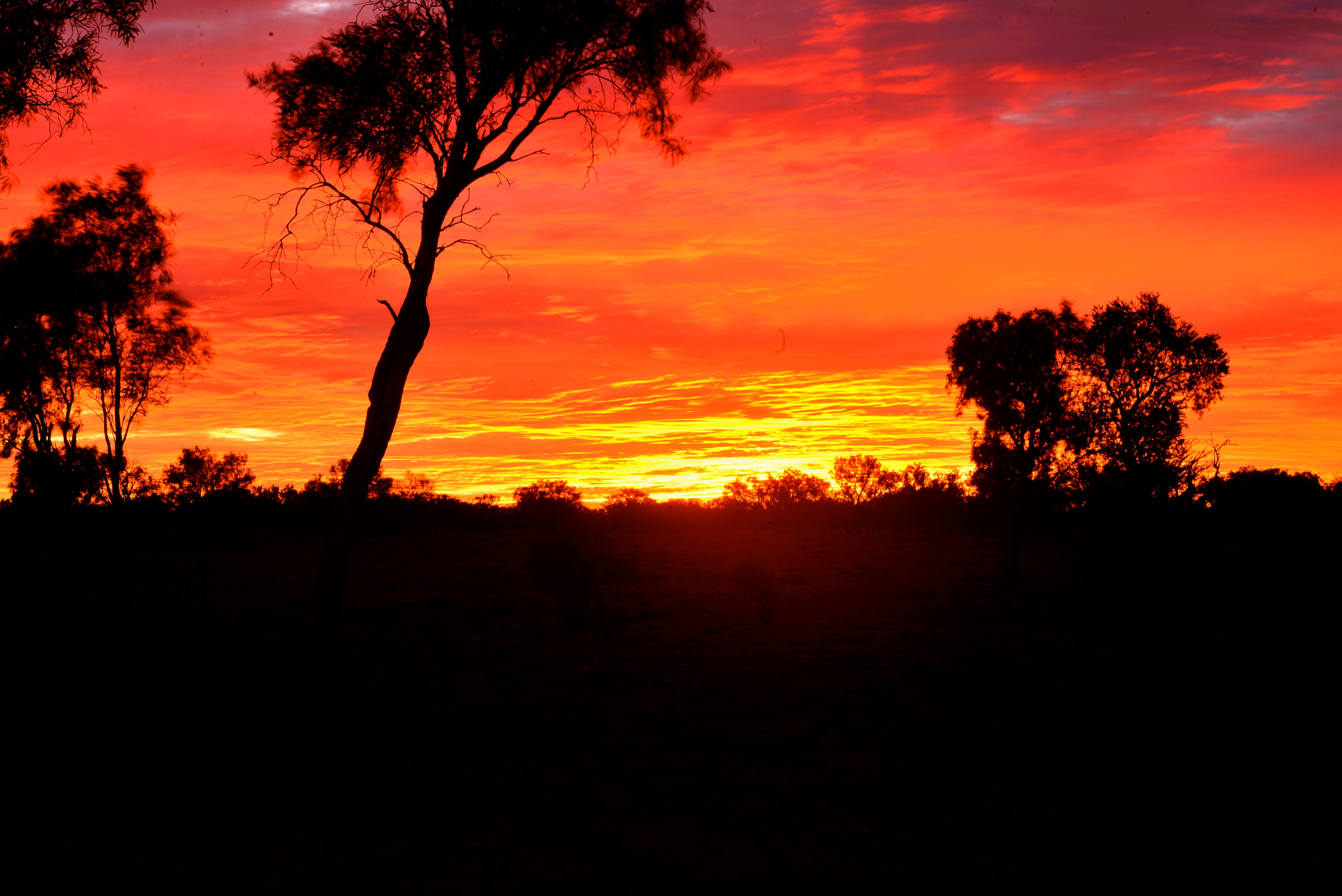 The Australian Outback (At Sunset) – XPLORE