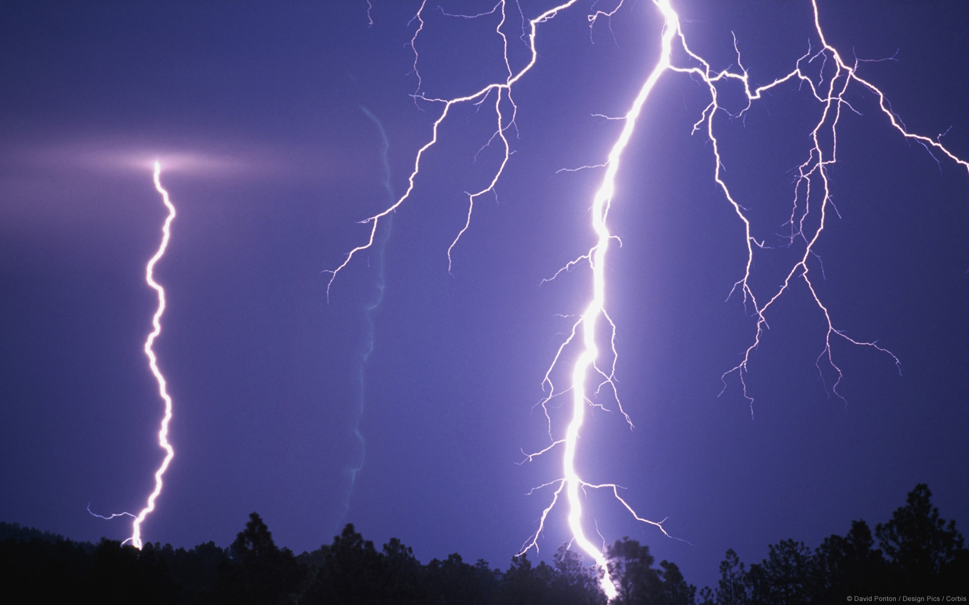 Five Year Old Boy Is Fatally Struck By Lightening While Vacationing ...